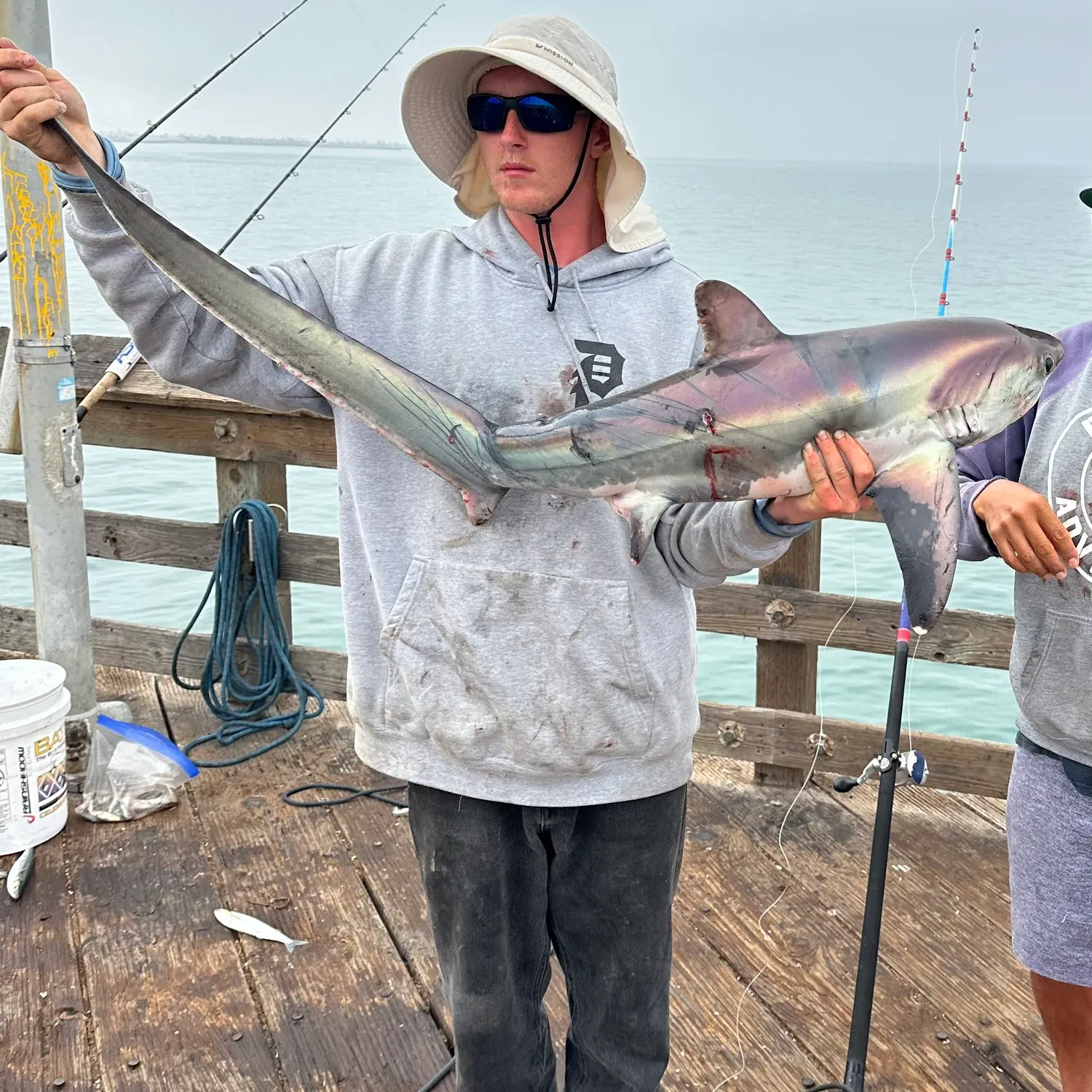 The most recent Common thresher catches on Fishbrain