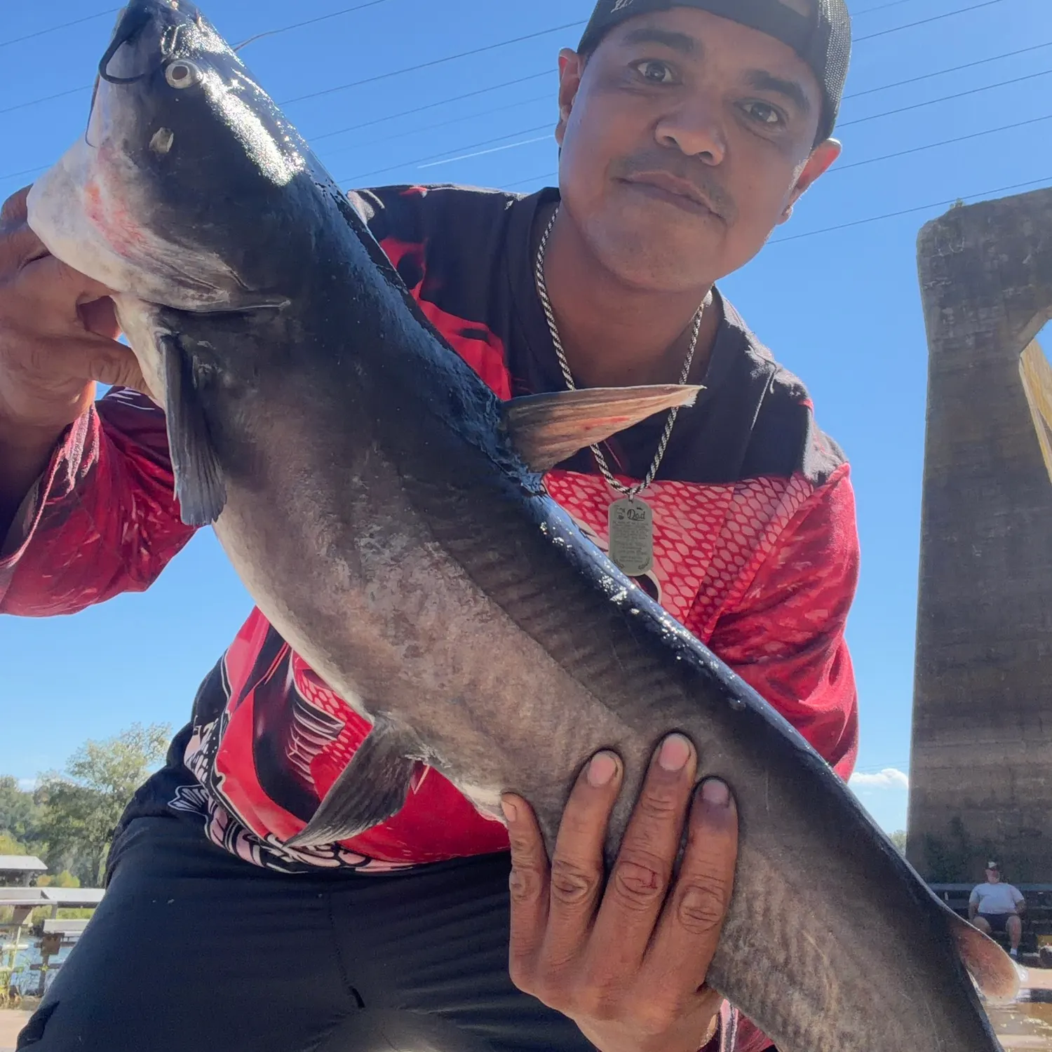 Blue catfish caught on Fishbrain