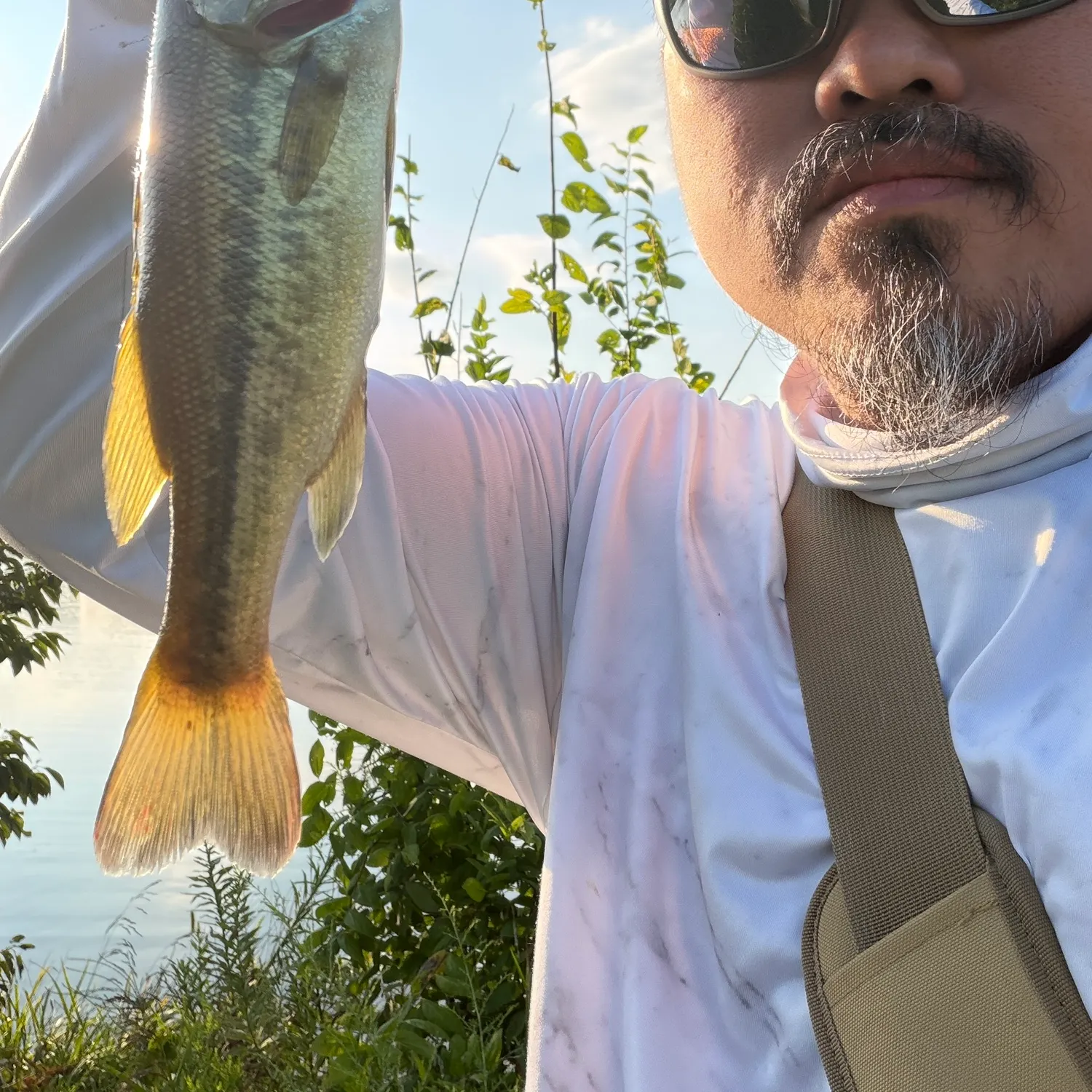Largemouth bass caught on Fishbrain