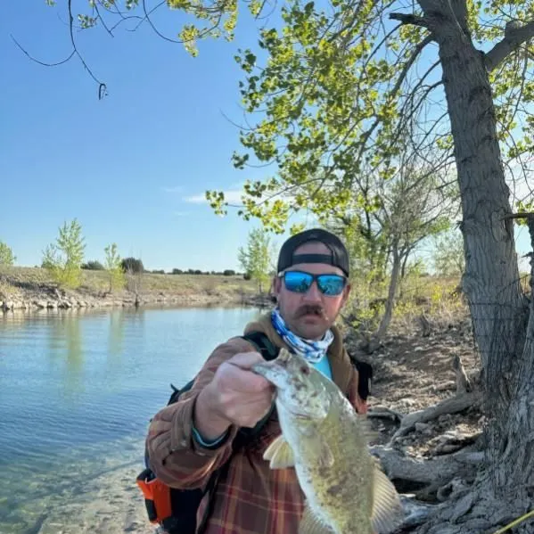 The most recent Smallmouth bass catches on Fishbrain