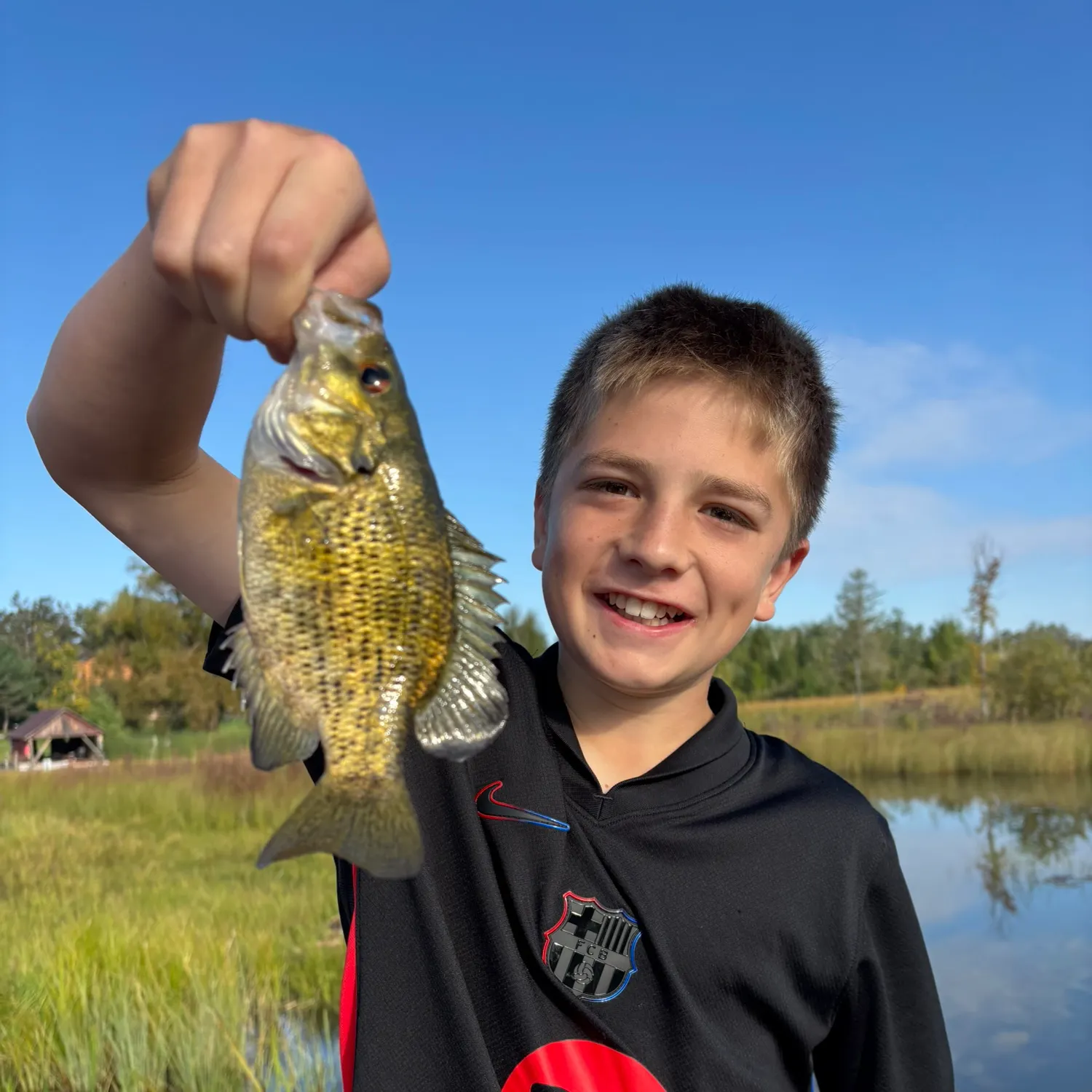 The most recent Rock bass catches on Fishbrain