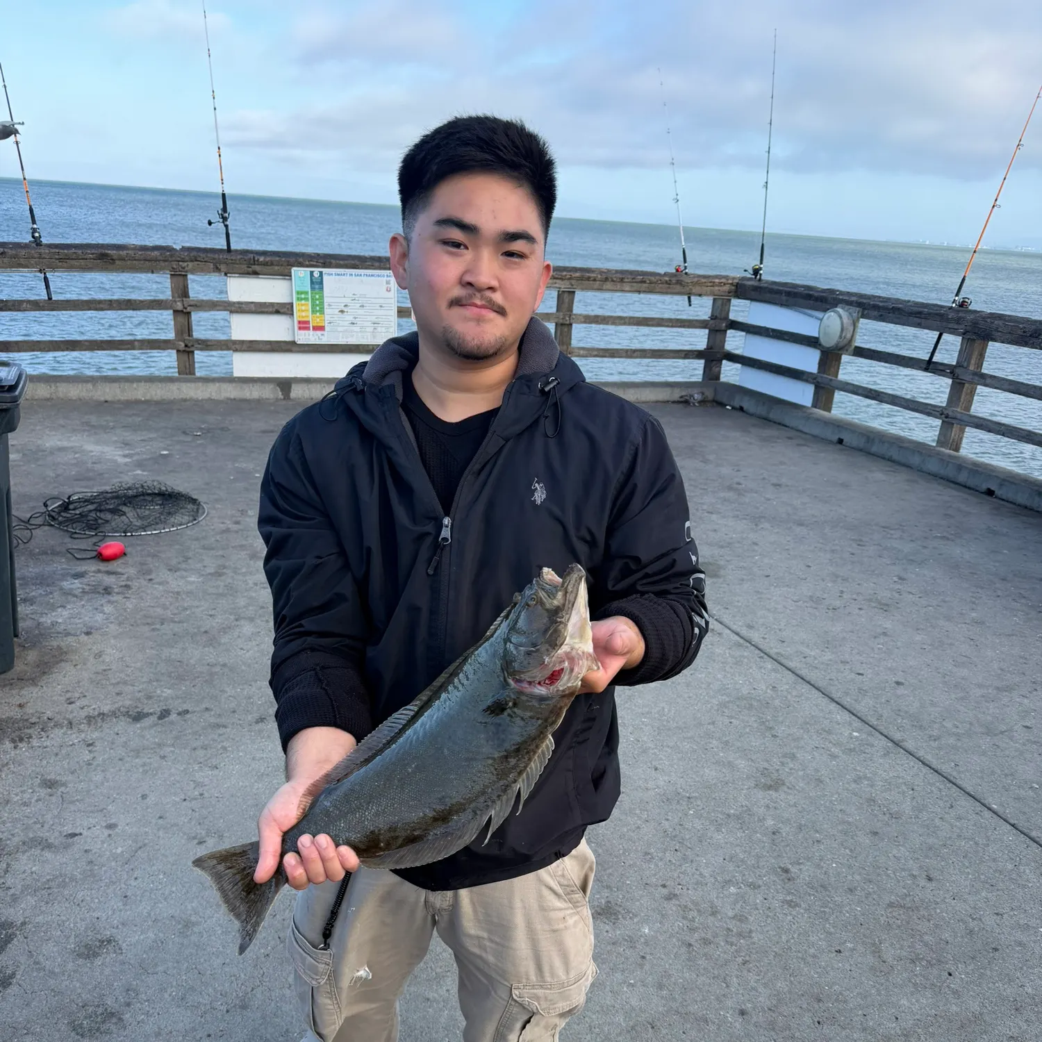The most recent California halibut catches on Fishbrain
