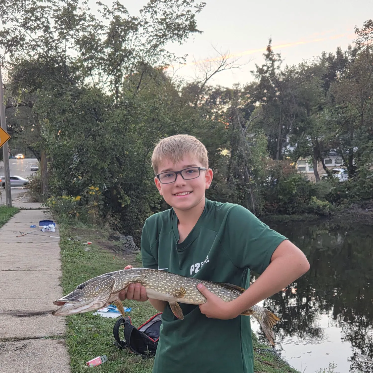 Northern pike caught on Fishbrain