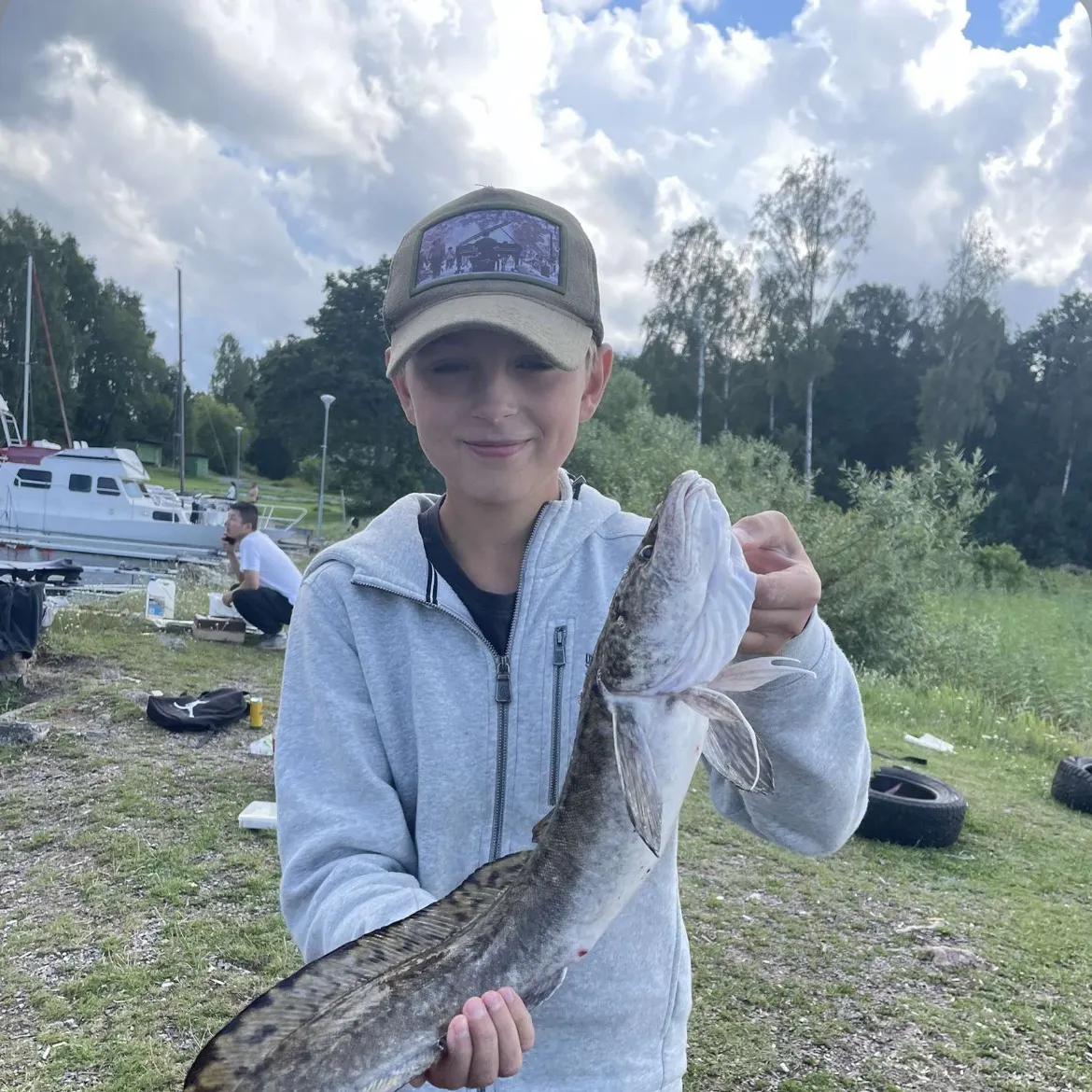 The most recent Burbot catches on Fishbrain