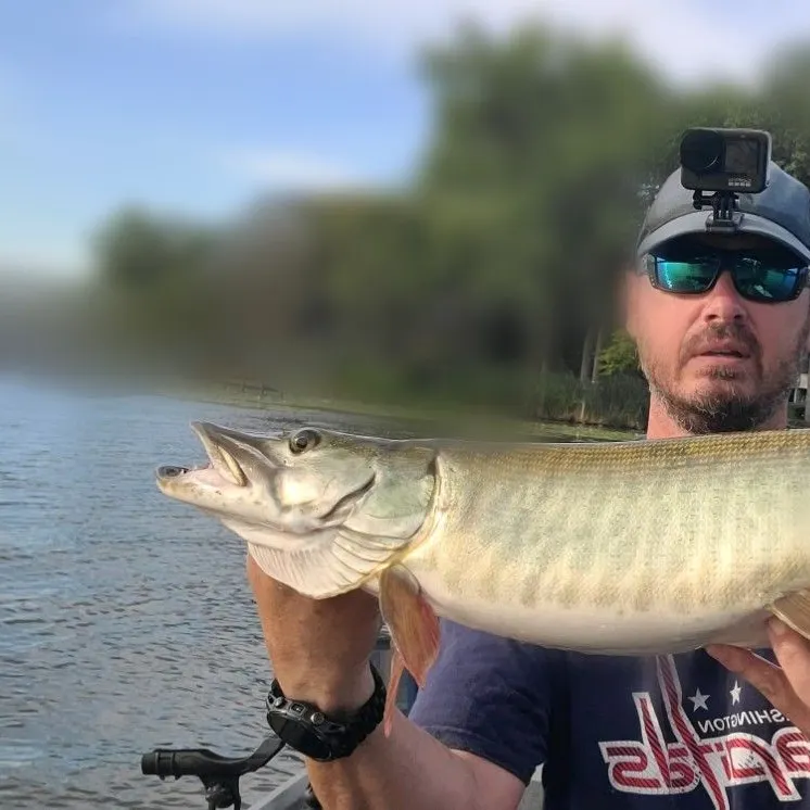 Muskie caught on Fishbrain