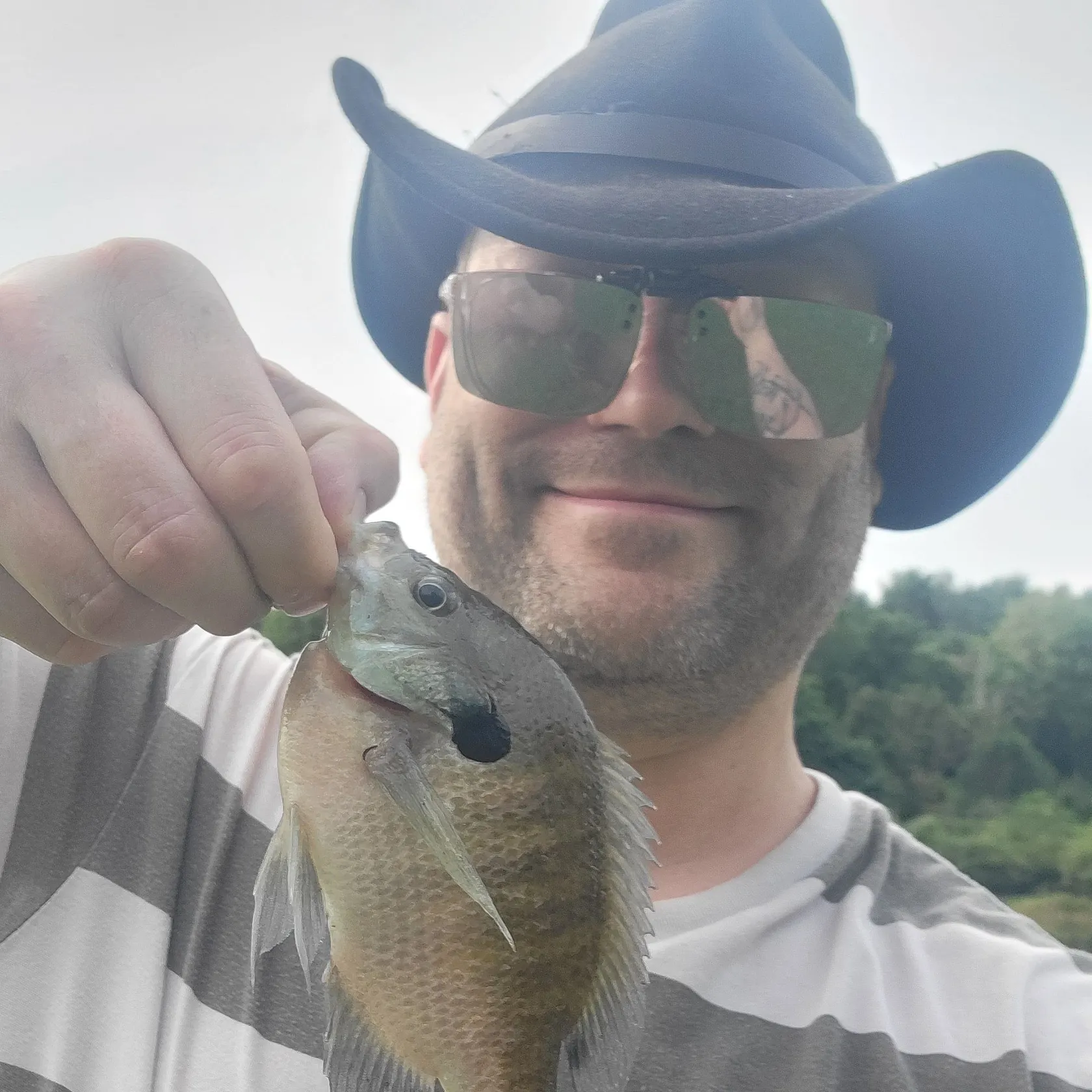Fish caught on Fishbrain