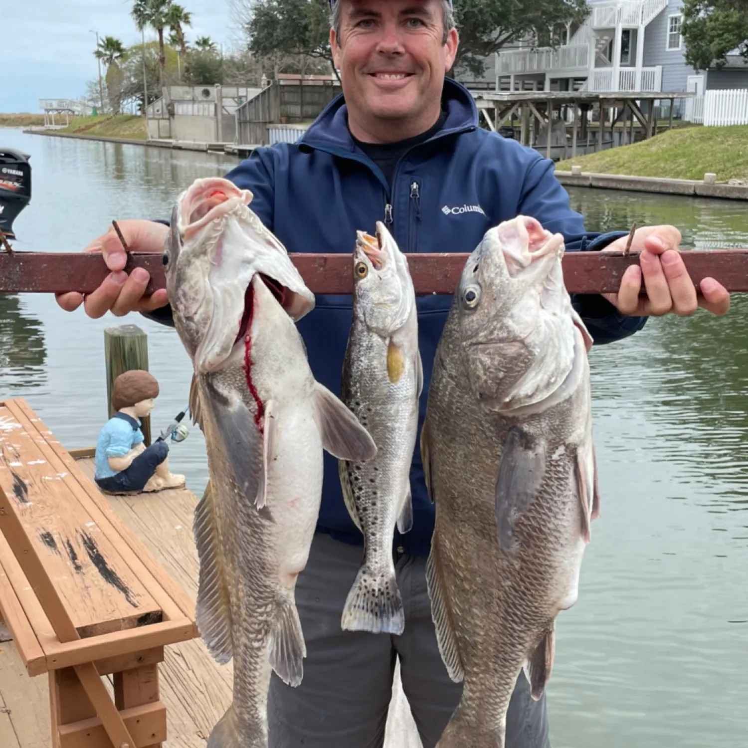 Black drum caught on Fishbrain