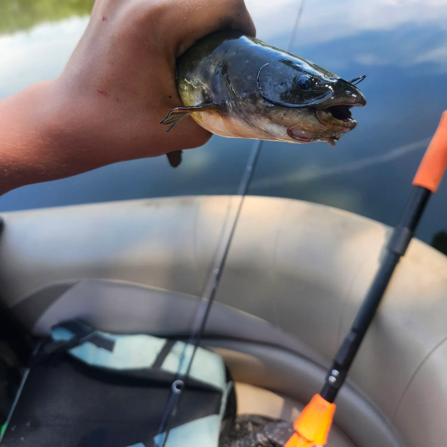 catch