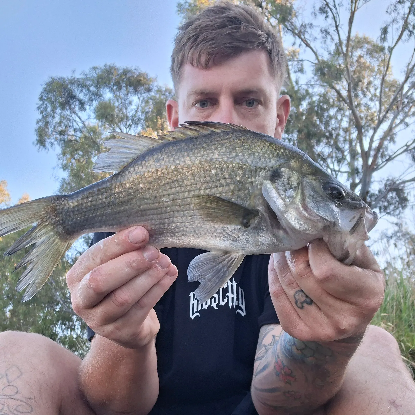 The most recent Estuary perch catches on Fishbrain