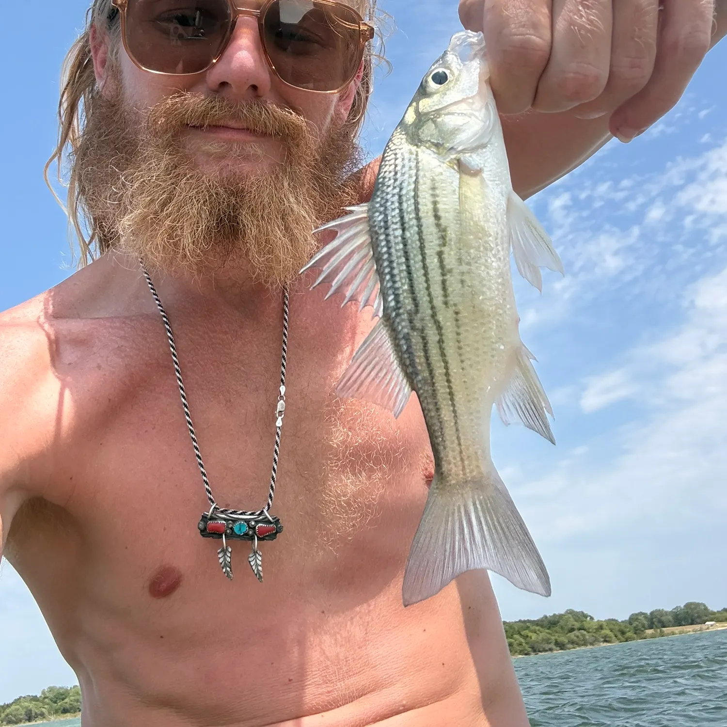 Yellow bass caught on Fishbrain