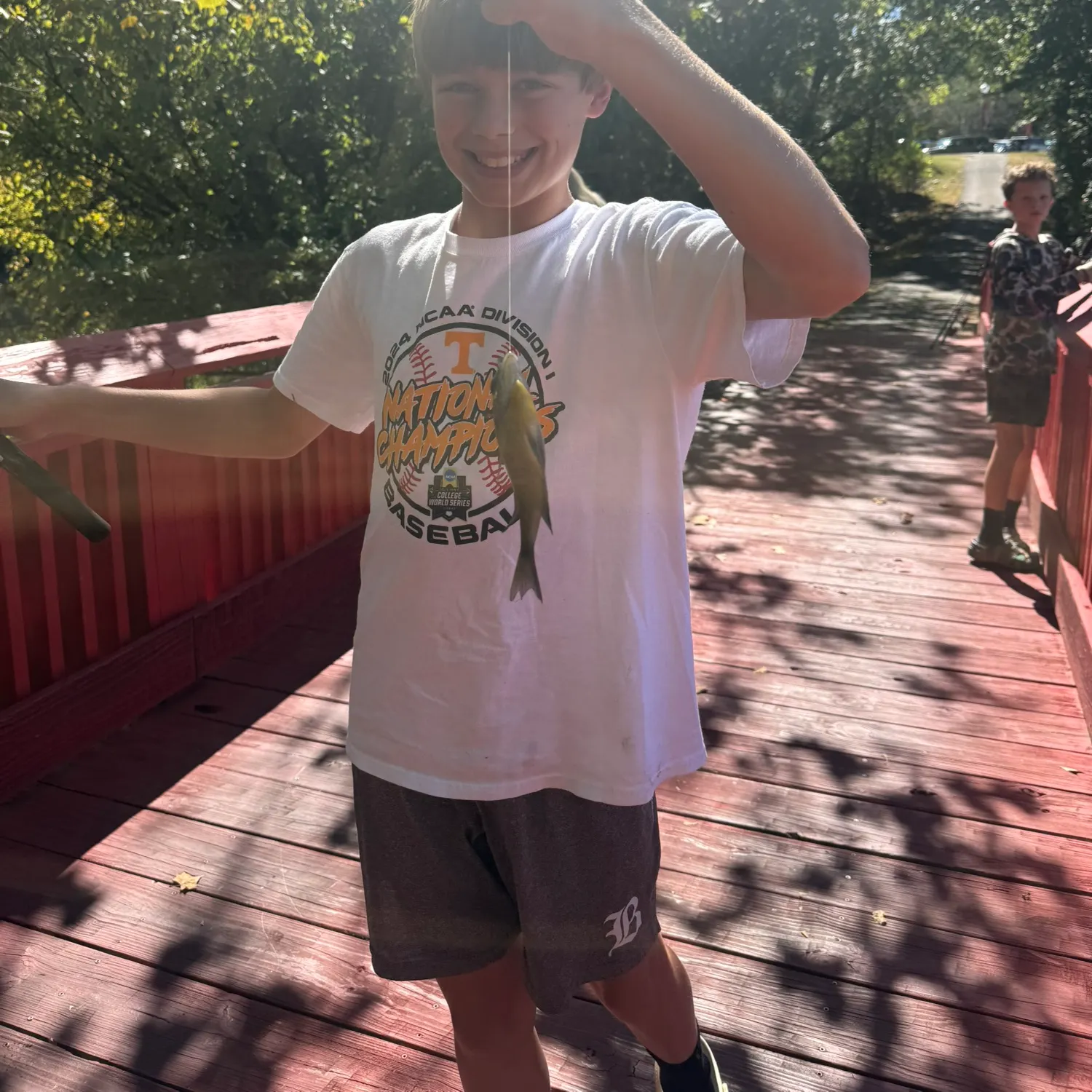 Bluegill caught on Fishbrain