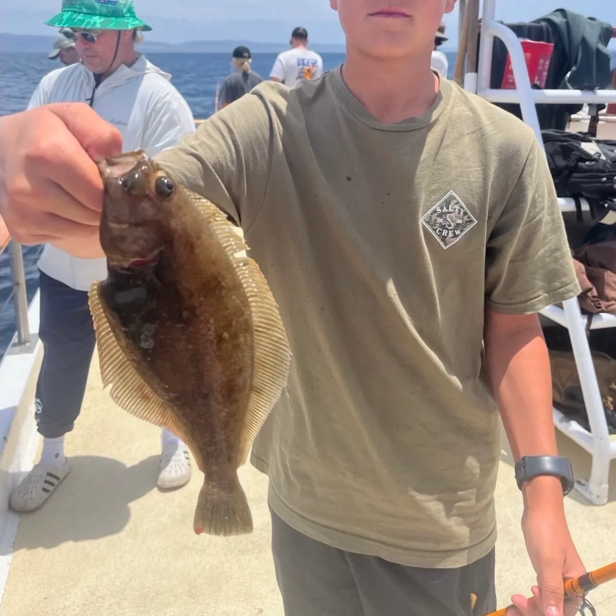 The most recent Pacific sanddab catches on Fishbrain