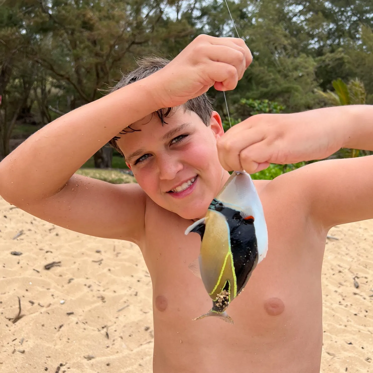 The most recent Blackbelly triggerfish catches on Fishbrain