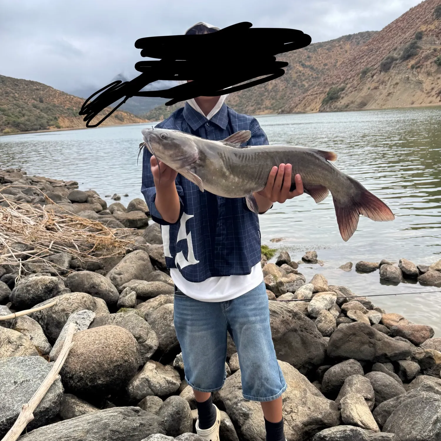 Channel catfish caught on Fishbrain