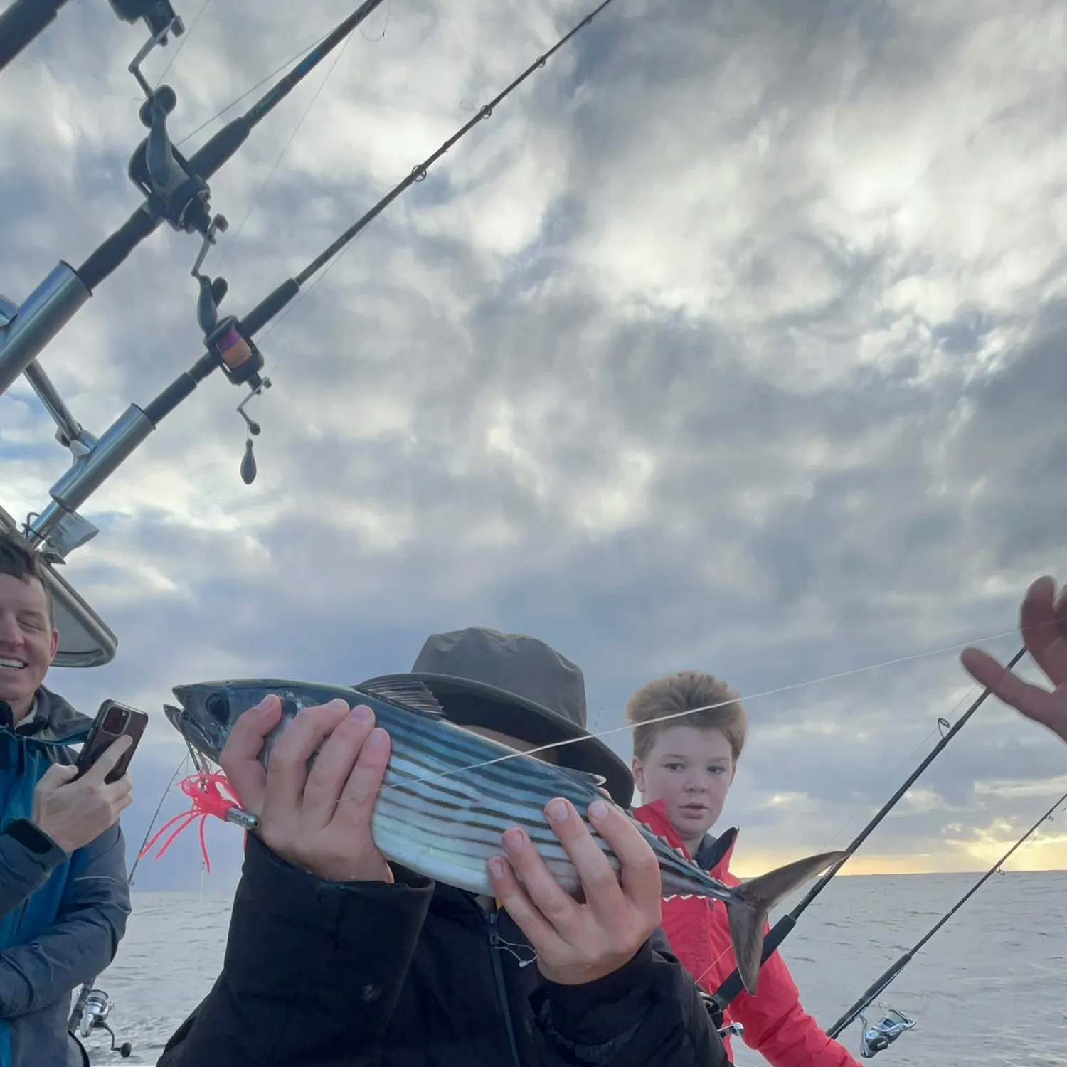 Australian bonito caught on Fishbrain