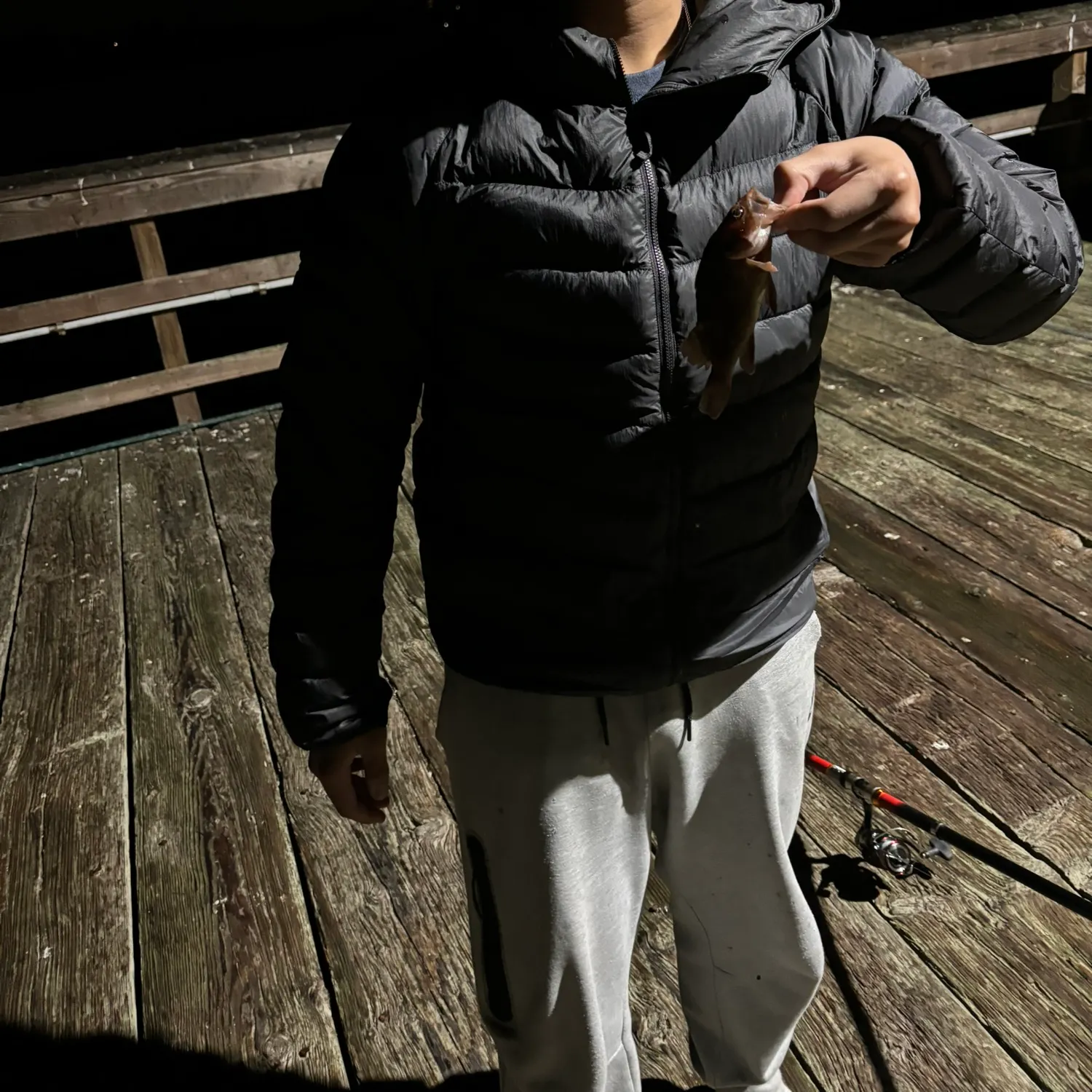 The most recent Copper rockfish catches on Fishbrain