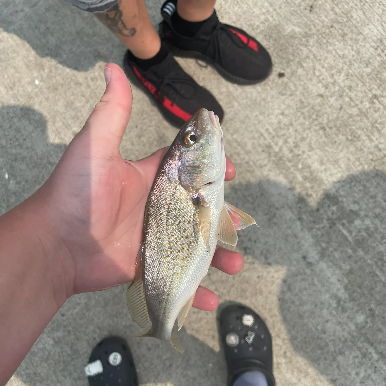 catch