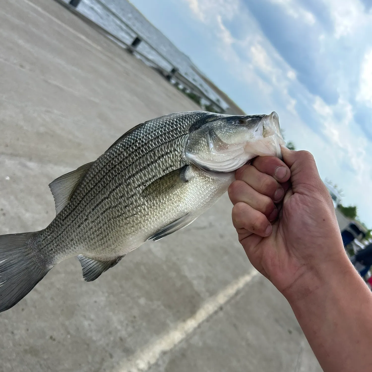 catch