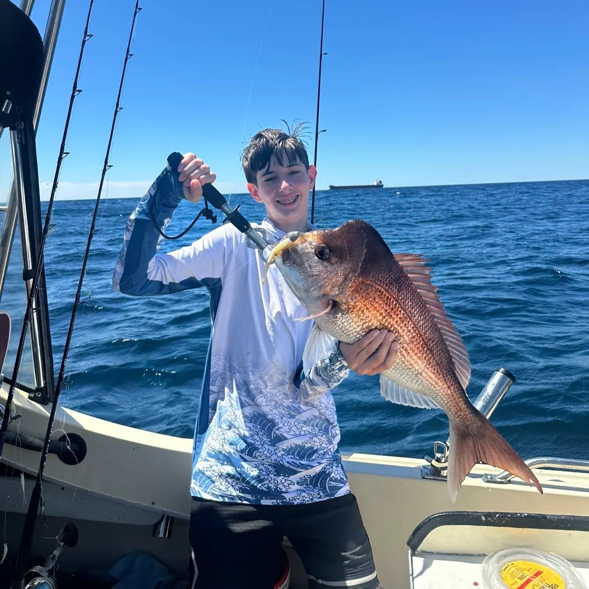 The most recent Australasian snapper catches on Fishbrain
