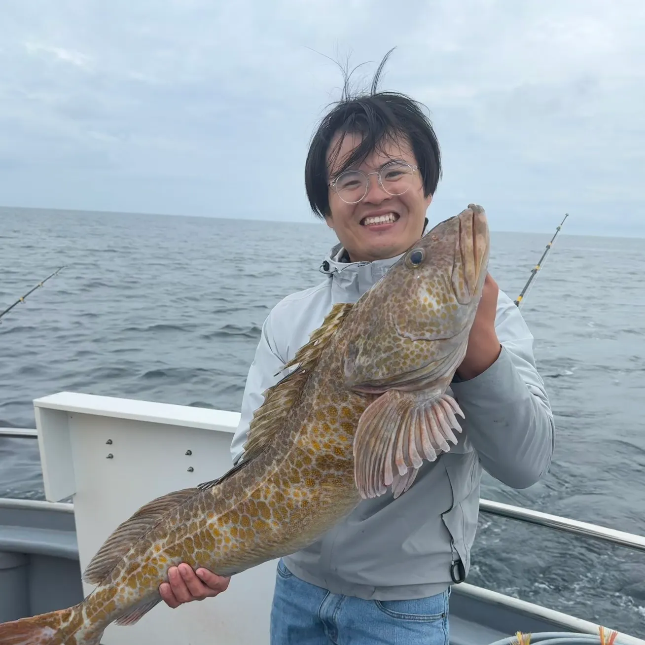 Lingcod caught on Fishbrain