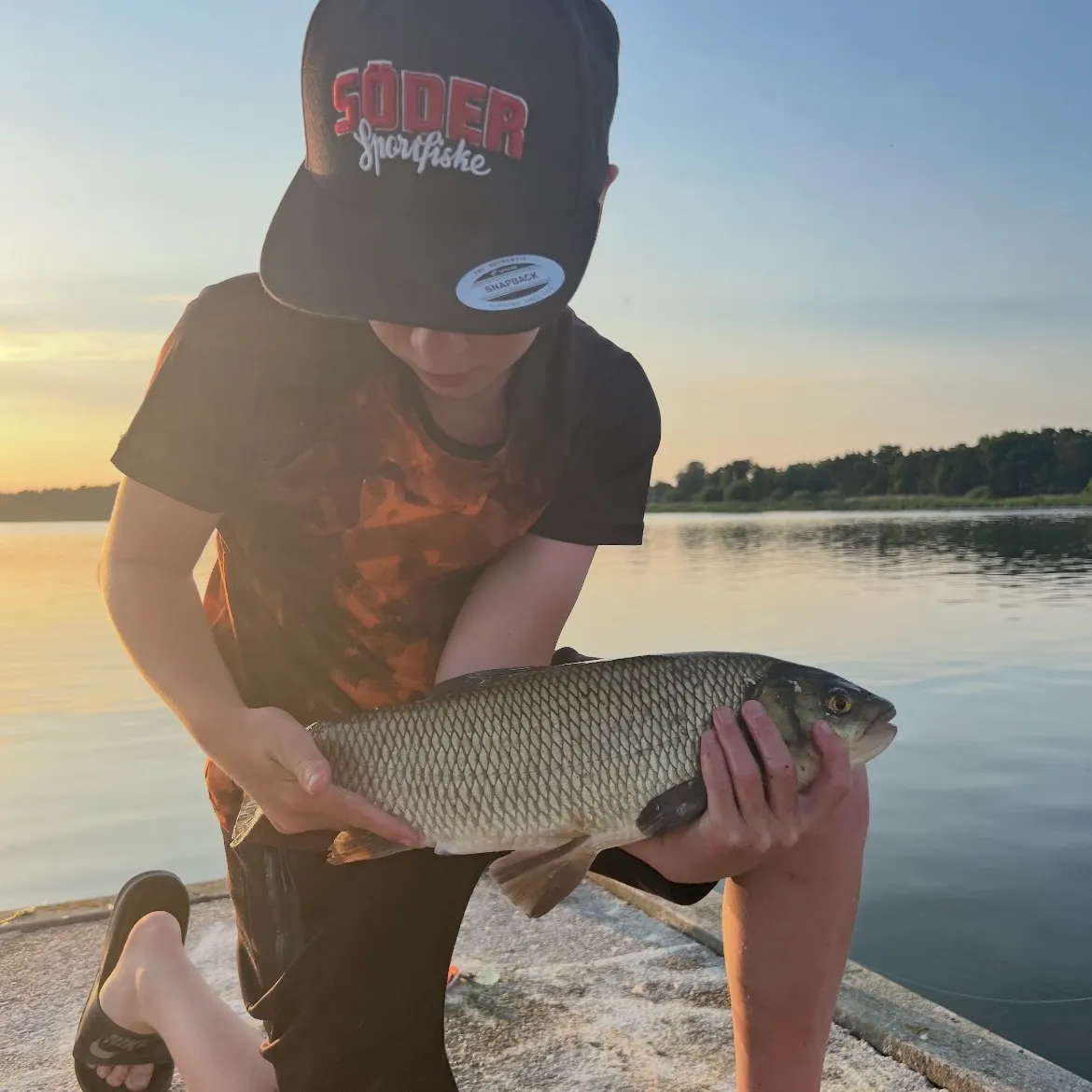 The most recent Ide catches on Fishbrain