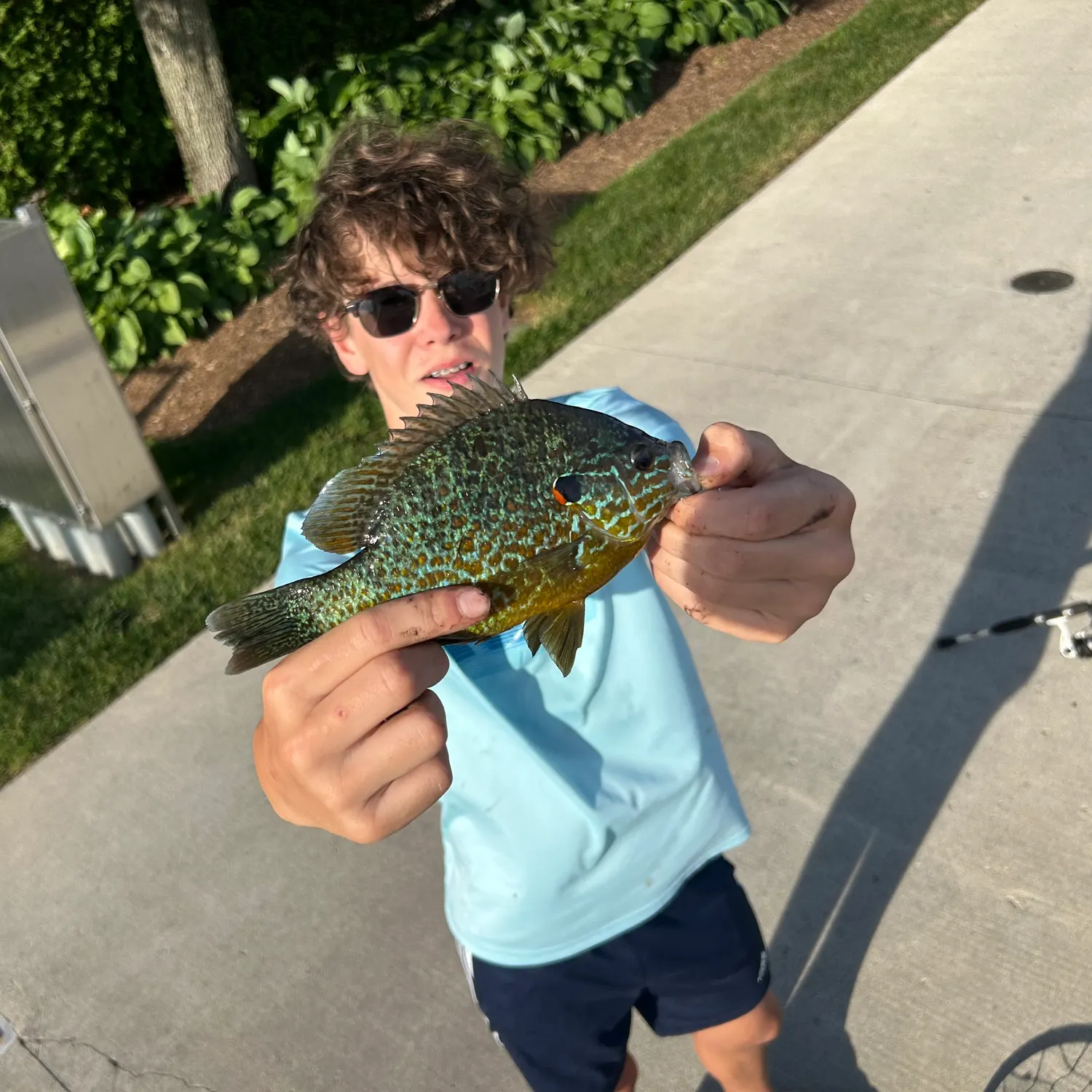 catch