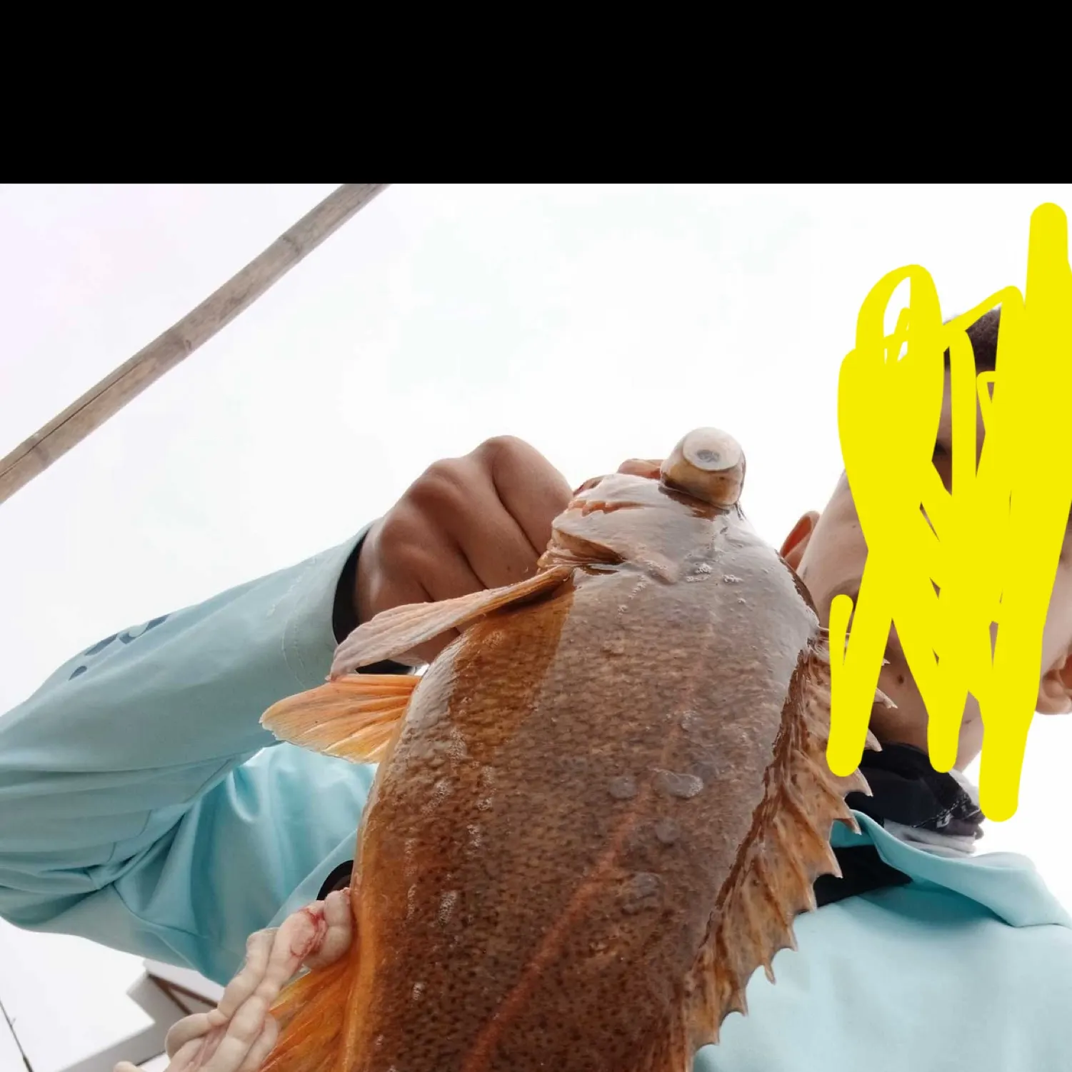 most liked catch image