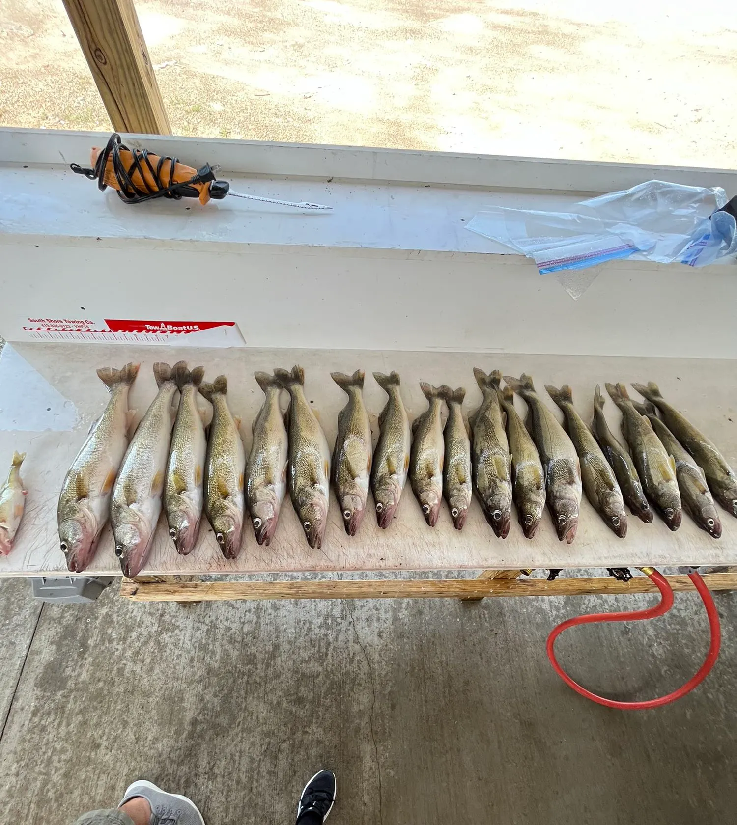 recently logged catches