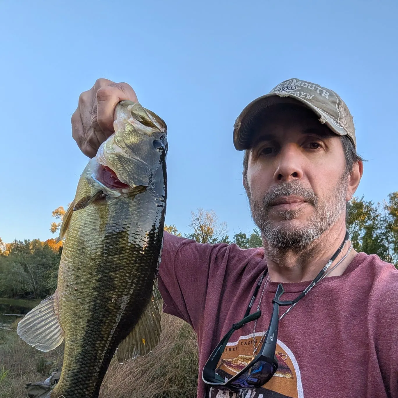 Largemouth bass caught on Fishbrain