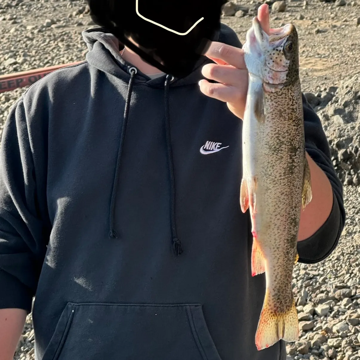 Rainbow trout caught on Fishbrain