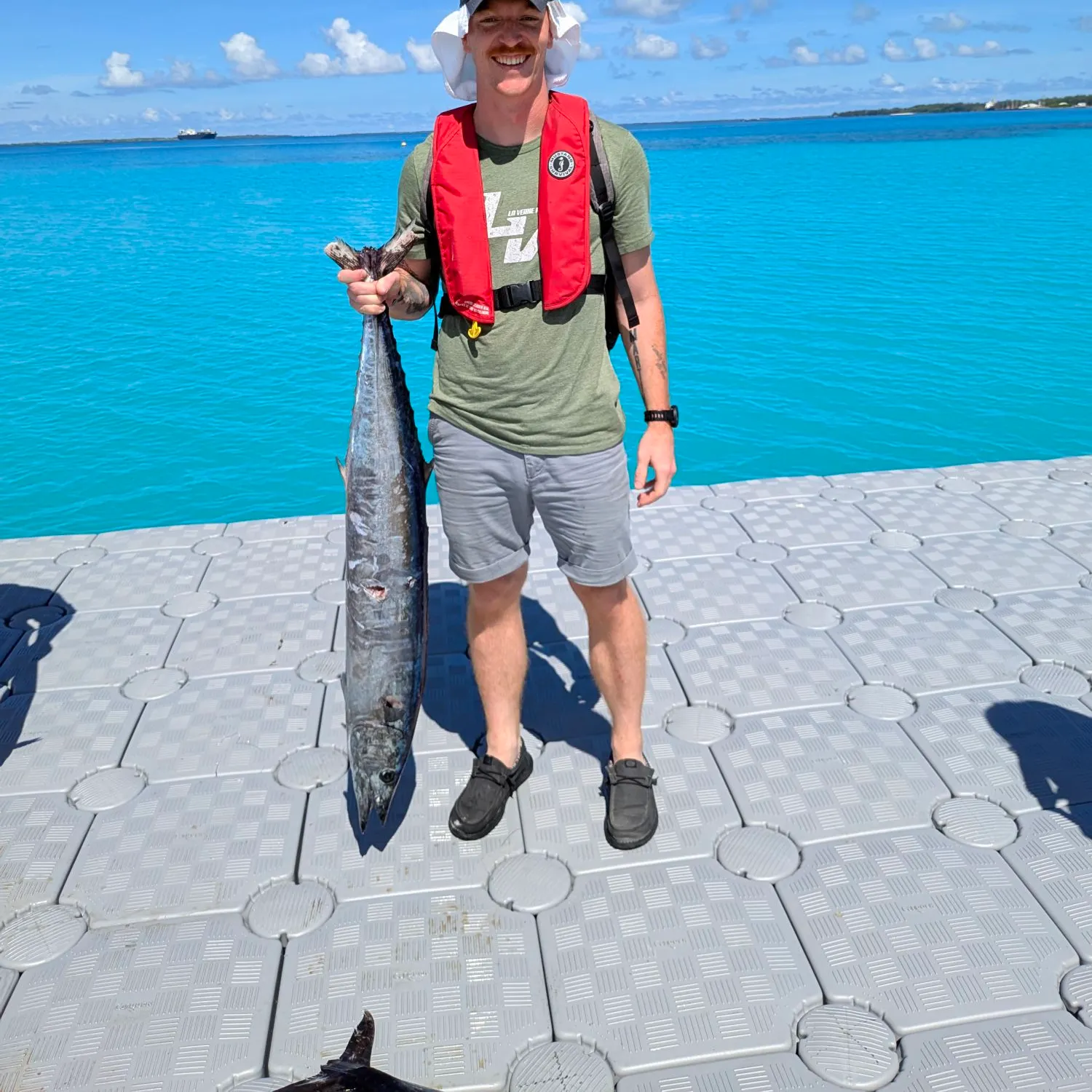 The most recent Wahoo catches on Fishbrain