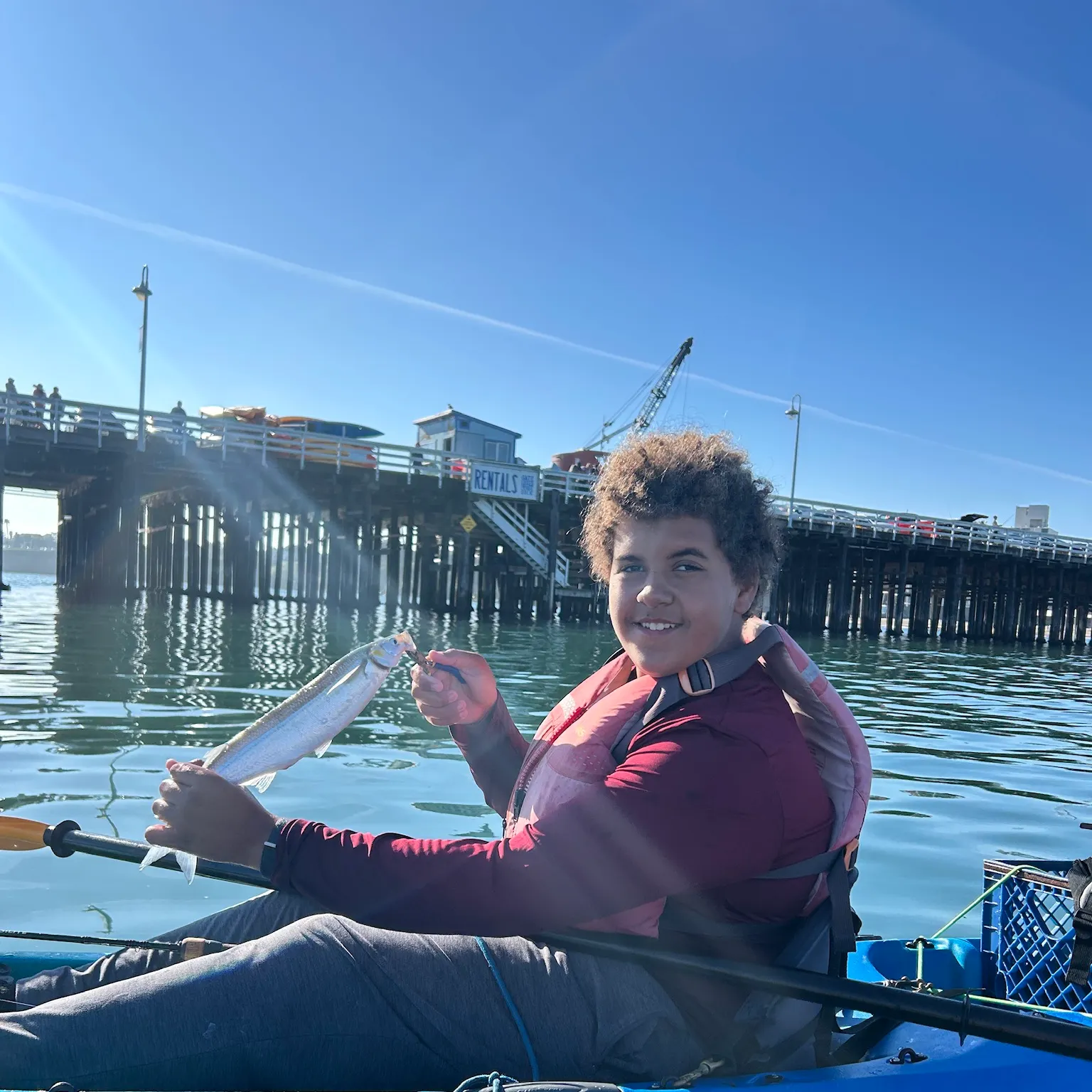 The most recent Jack silverside catches on Fishbrain