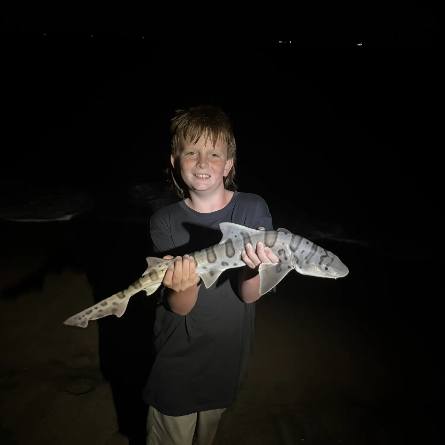 Leopard shark caught on Fishbrain