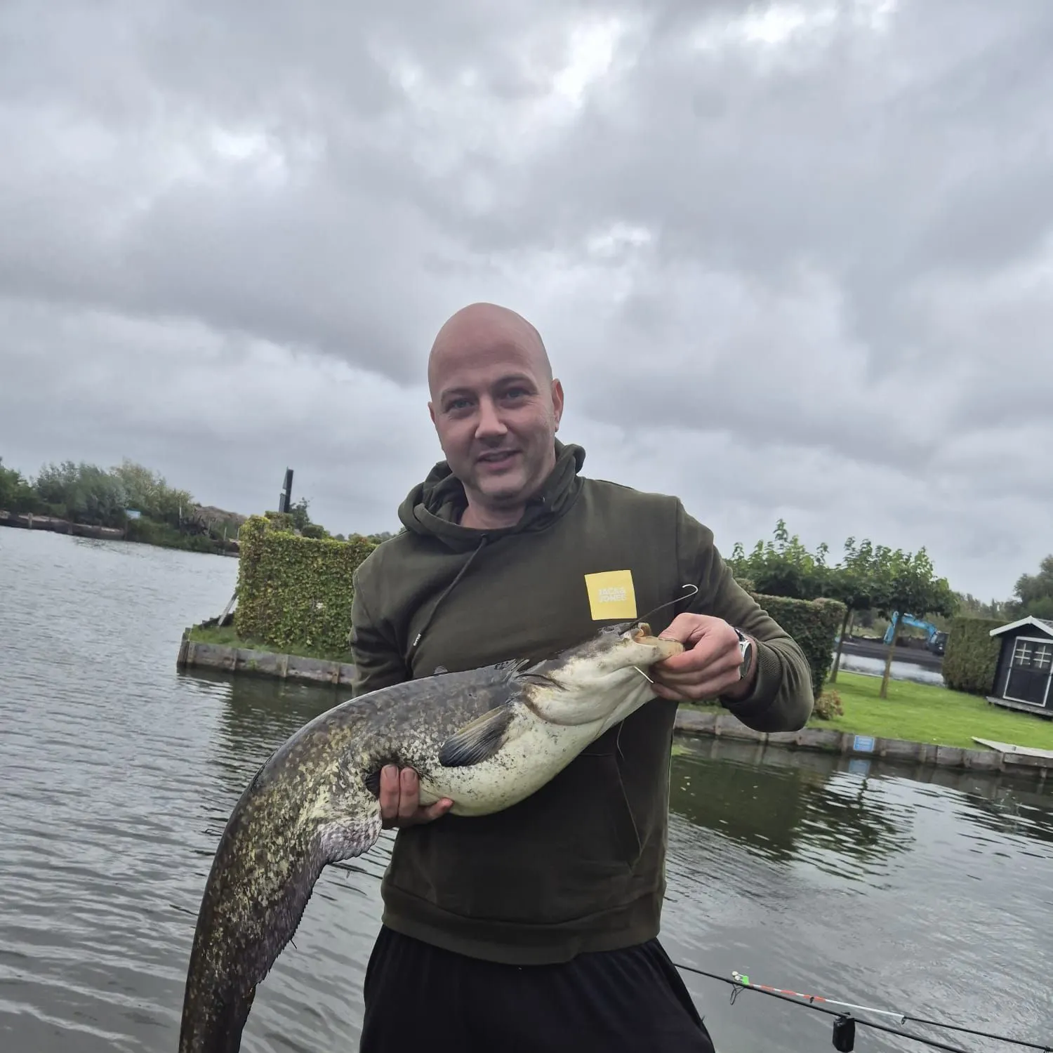 Wels catfish caught on Fishbrain
