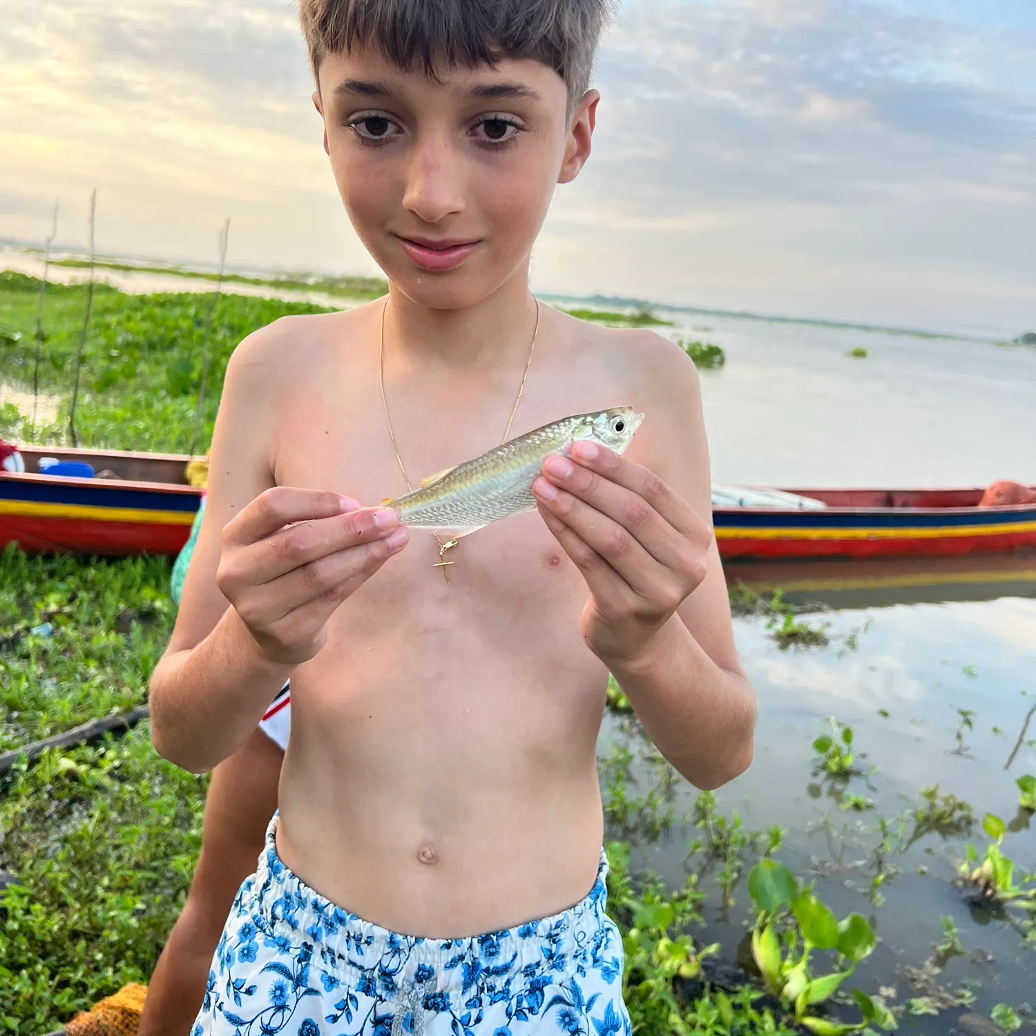 The most recent Scaled herring catches on Fishbrain