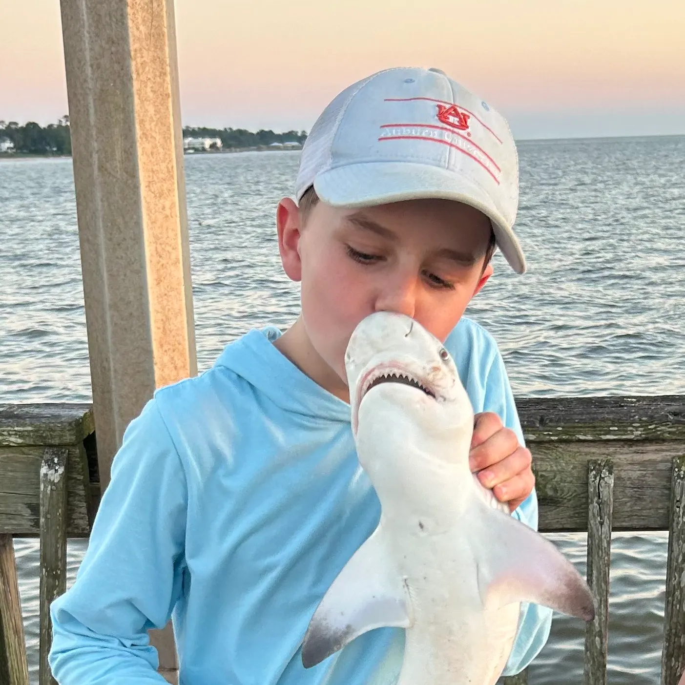 The most recent Blacktip reef shark catches on Fishbrain
