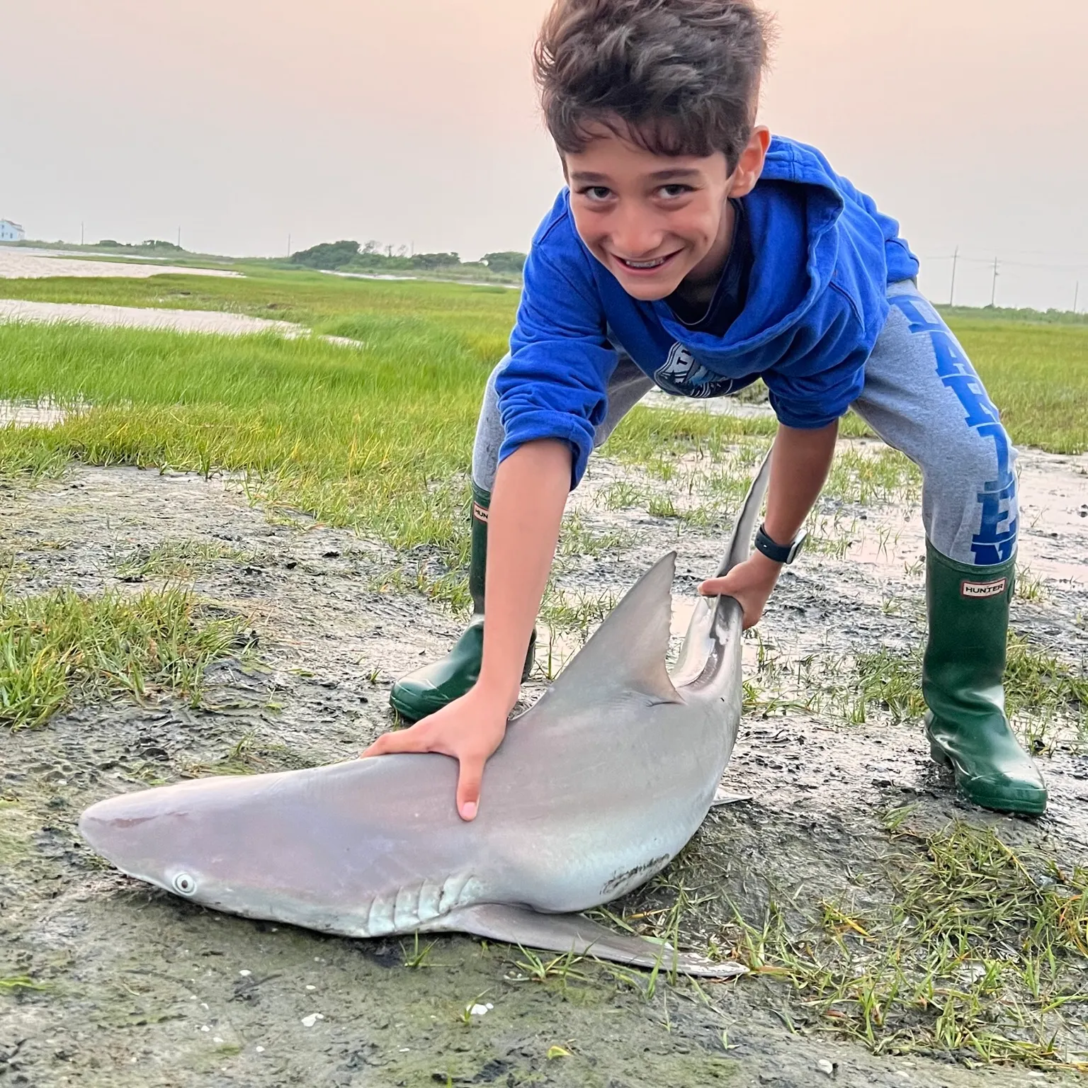 The most recent Caribbean reef shark catches on Fishbrain