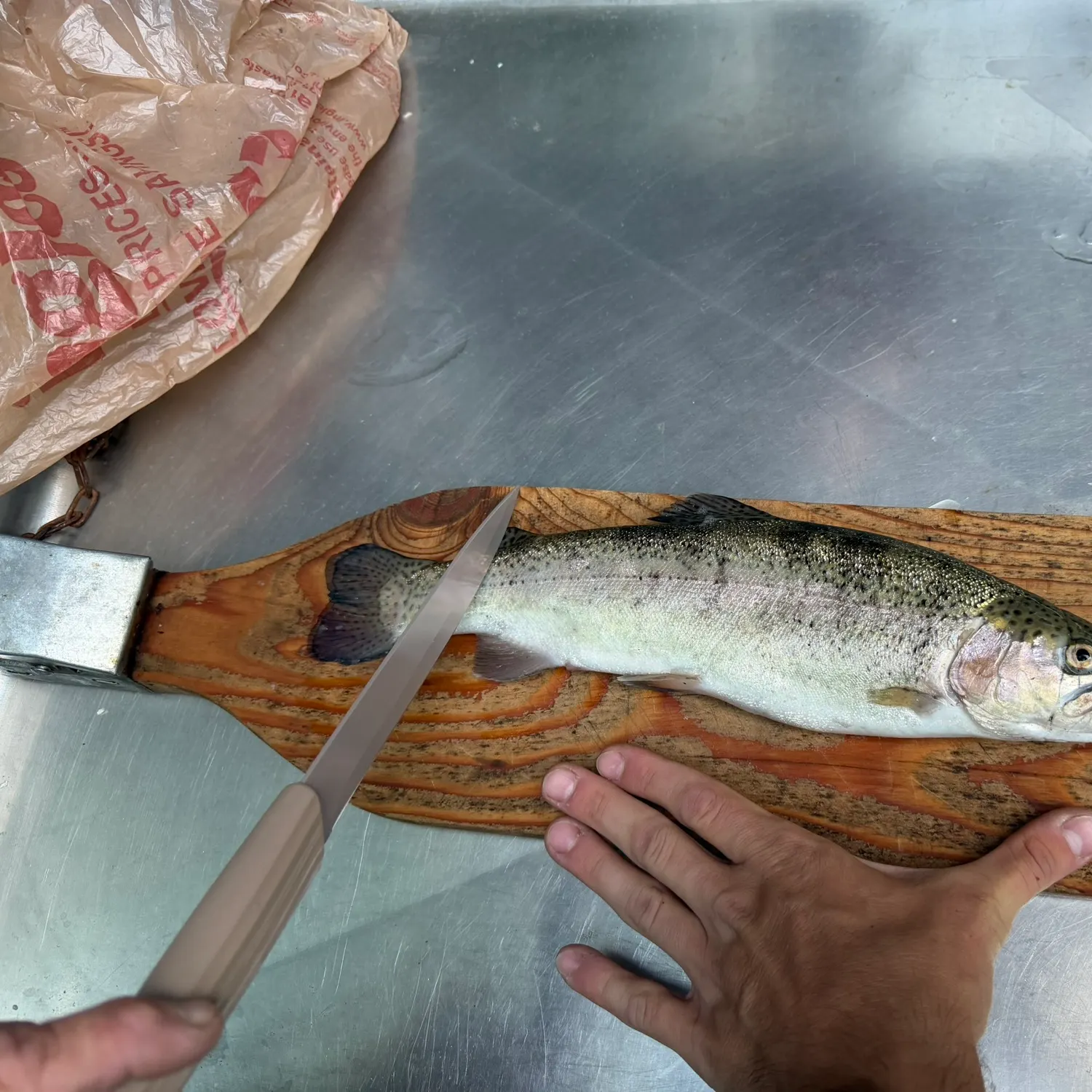 Rainbow trout caught on Fishbrain