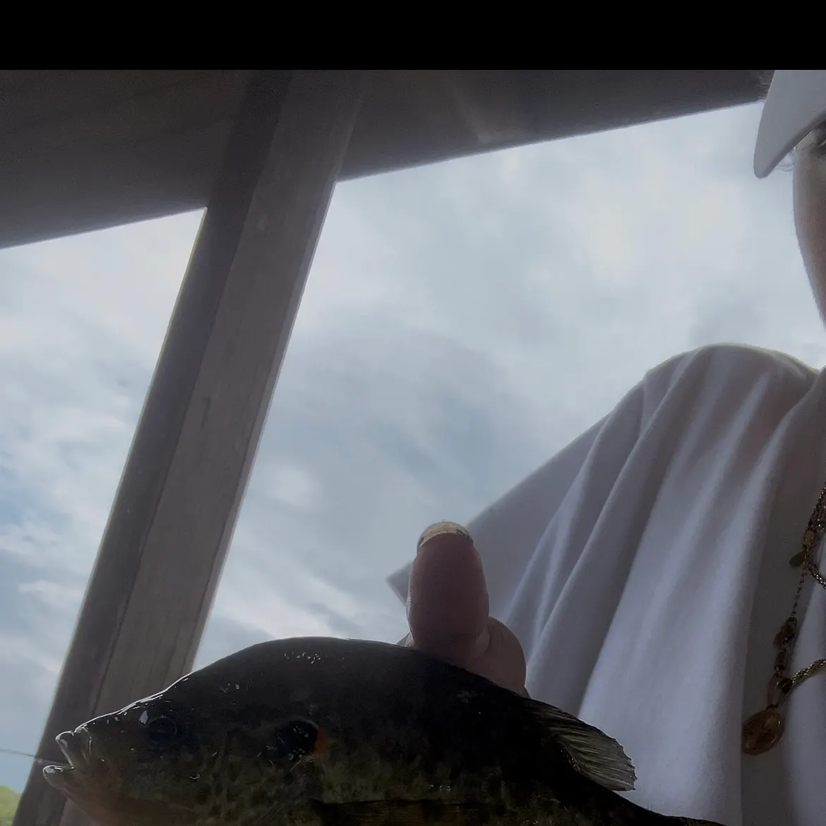Redear sunfish caught on Fishbrain