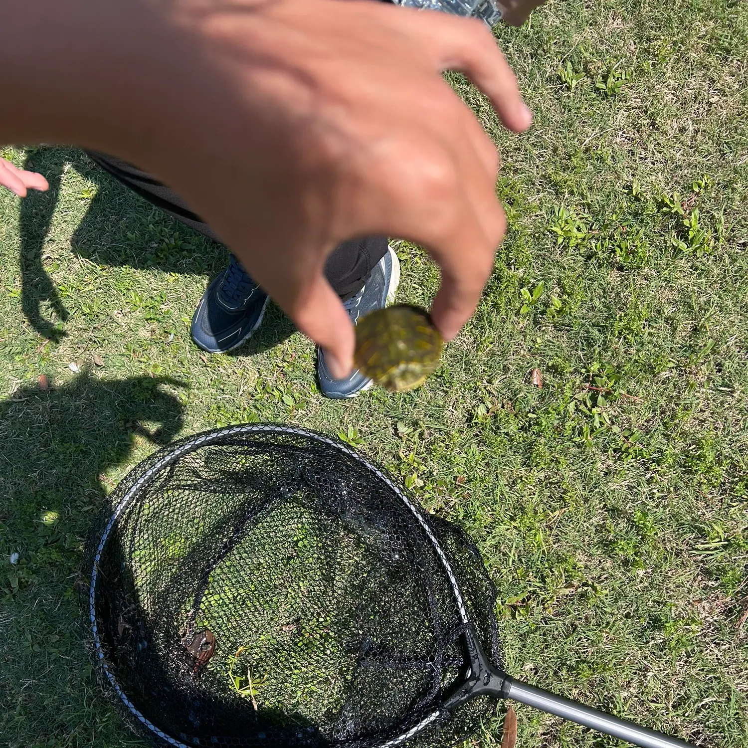 catch