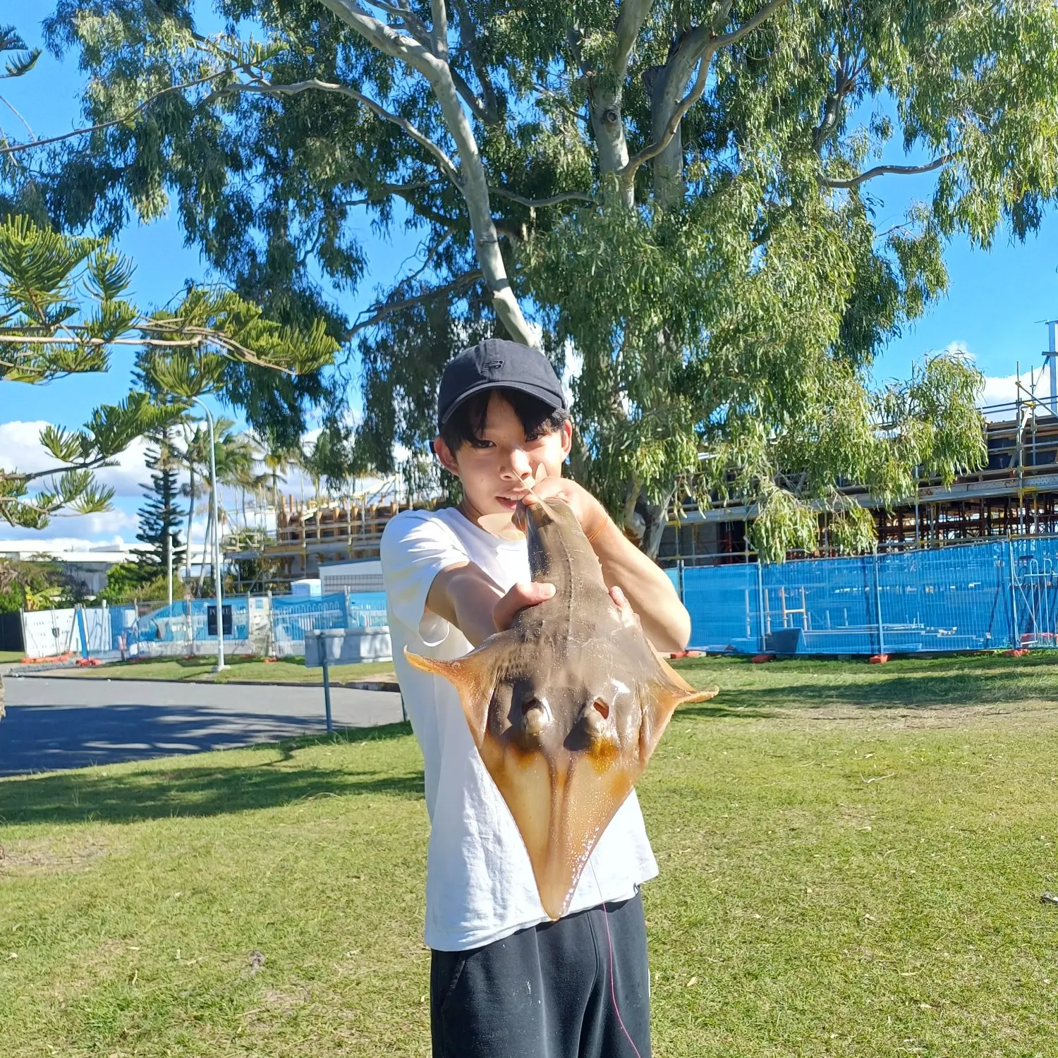 Pacific shovelnose guitarfish caught on Fishbrain
