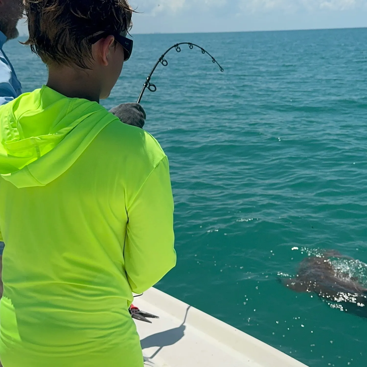The most recent Nurse shark catches on Fishbrain