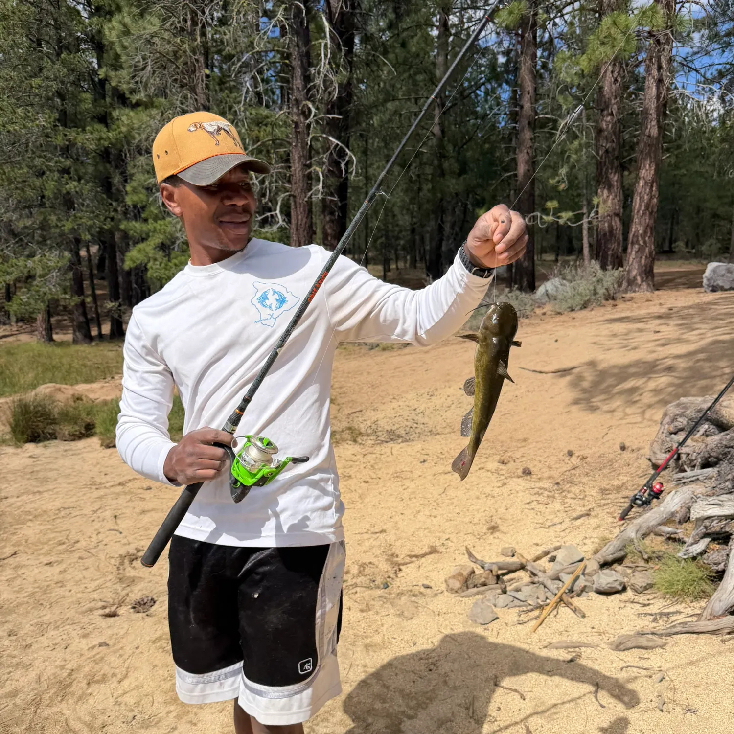 Black bullhead caught on Fishbrain