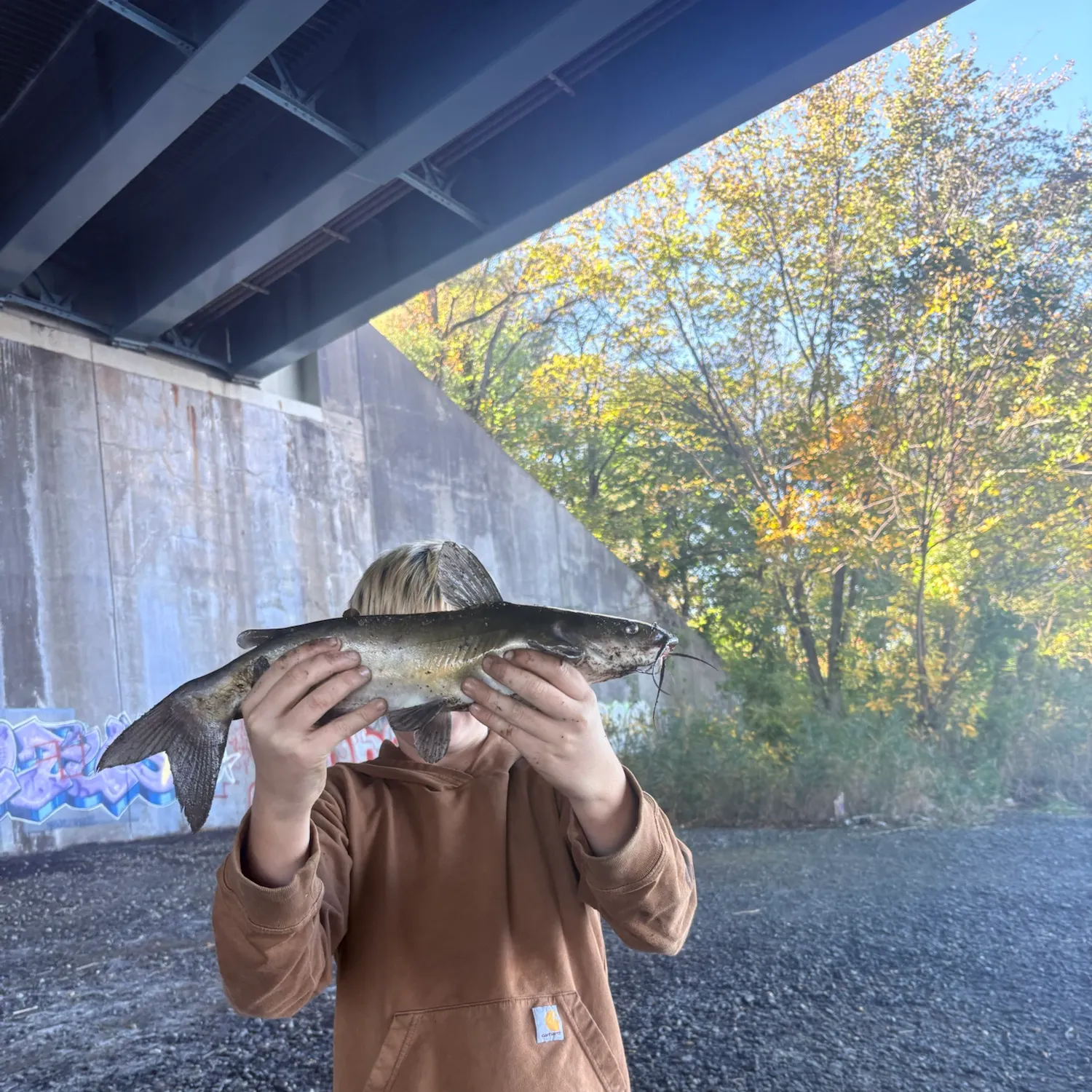 Channel catfish caught on Fishbrain
