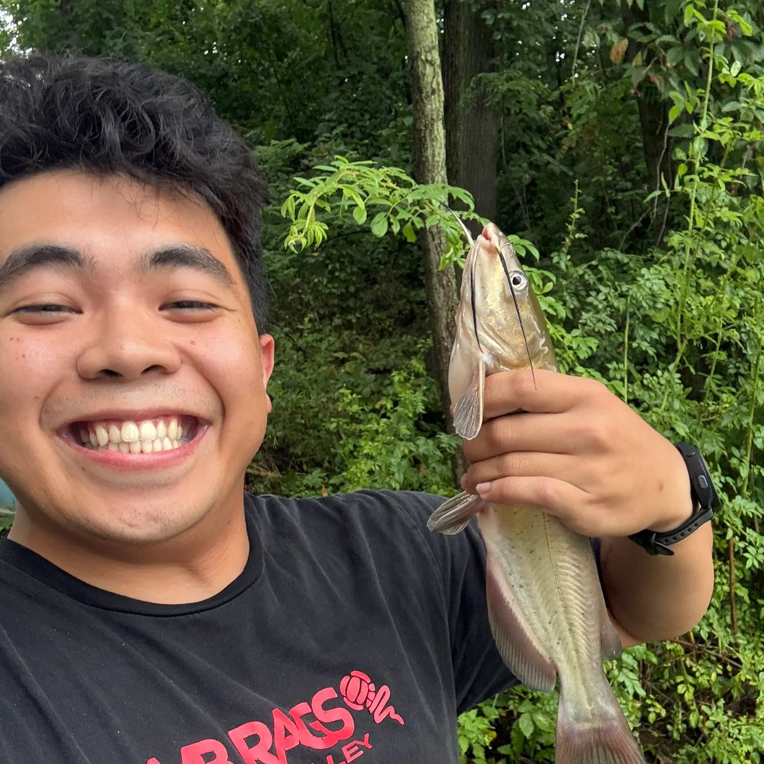 Channel catfish caught on Fishbrain