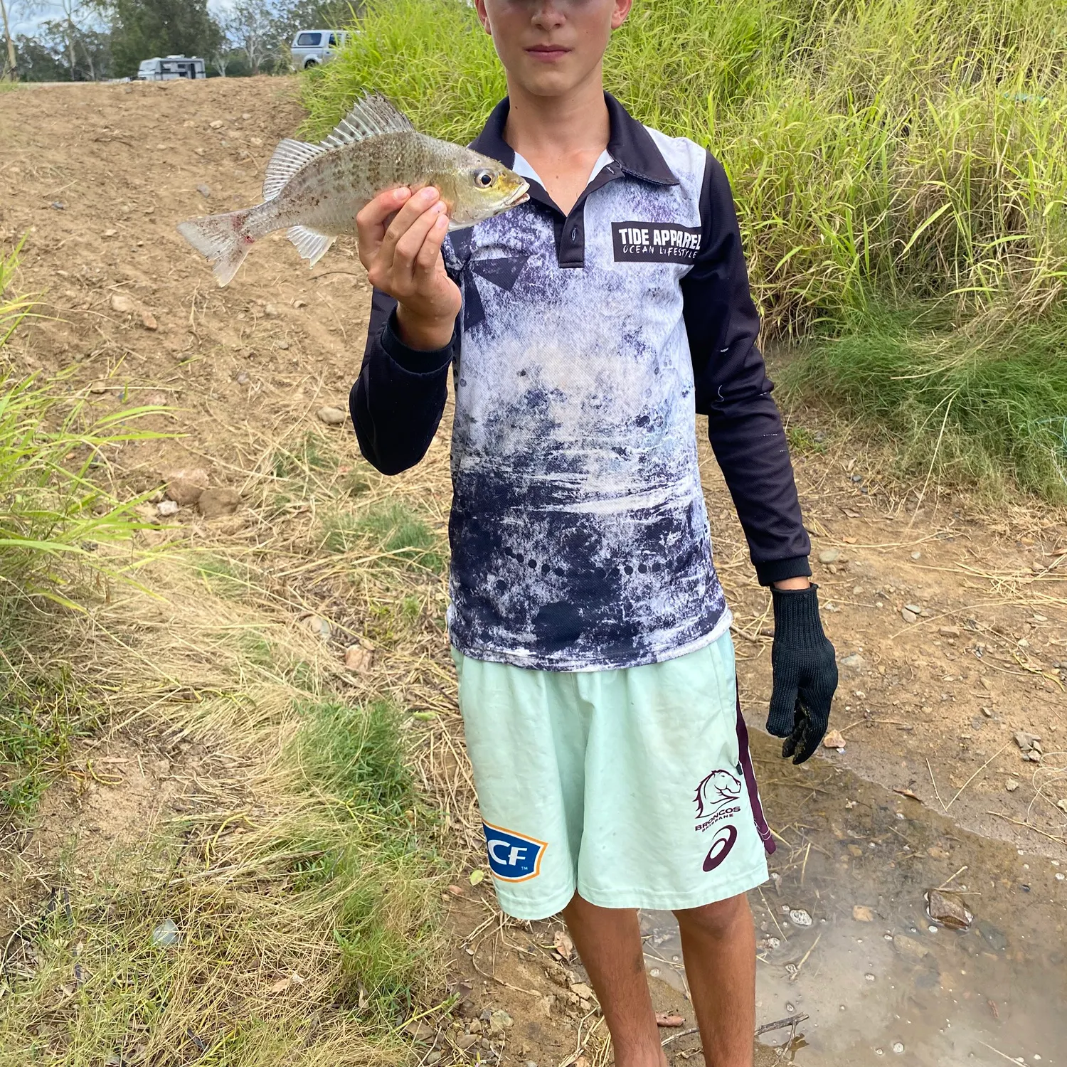 The most recent Javelin grunter catches on Fishbrain