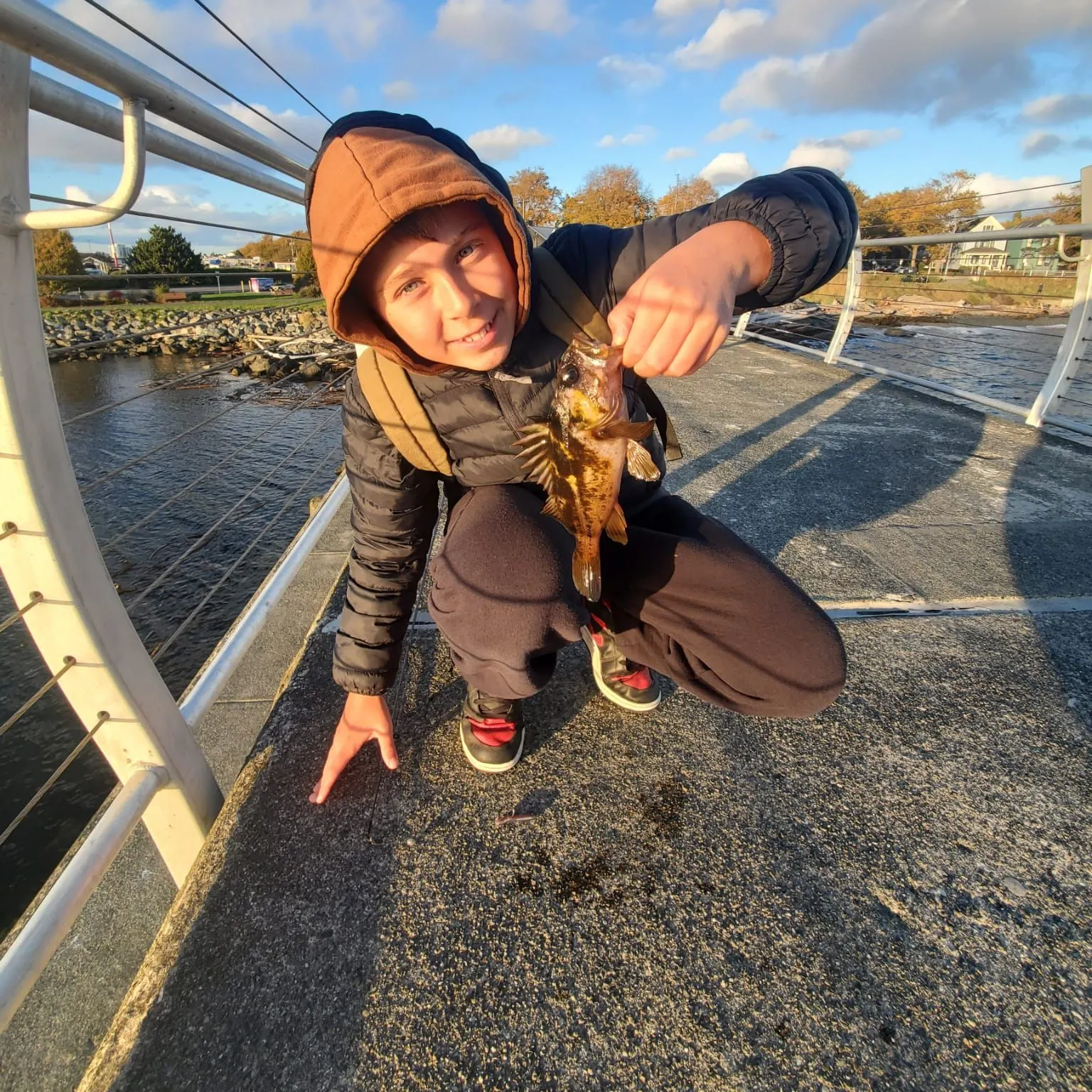 The most recent Lingcod catches on Fishbrain