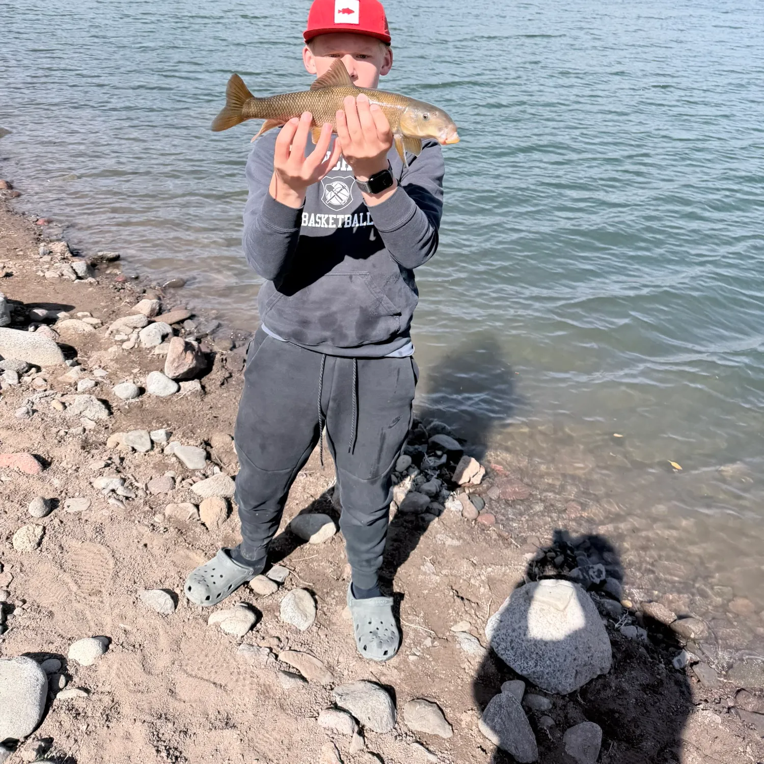 The most recent White sucker catches on Fishbrain