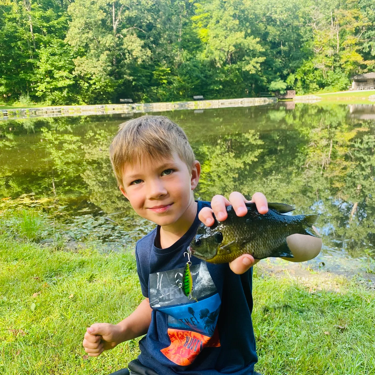 Bluegill caught on Fishbrain