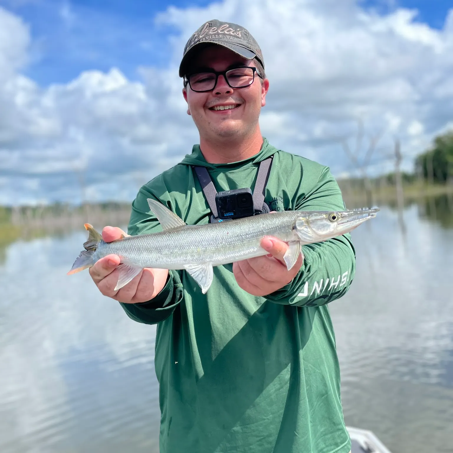 The most recent Bicuda catches on Fishbrain